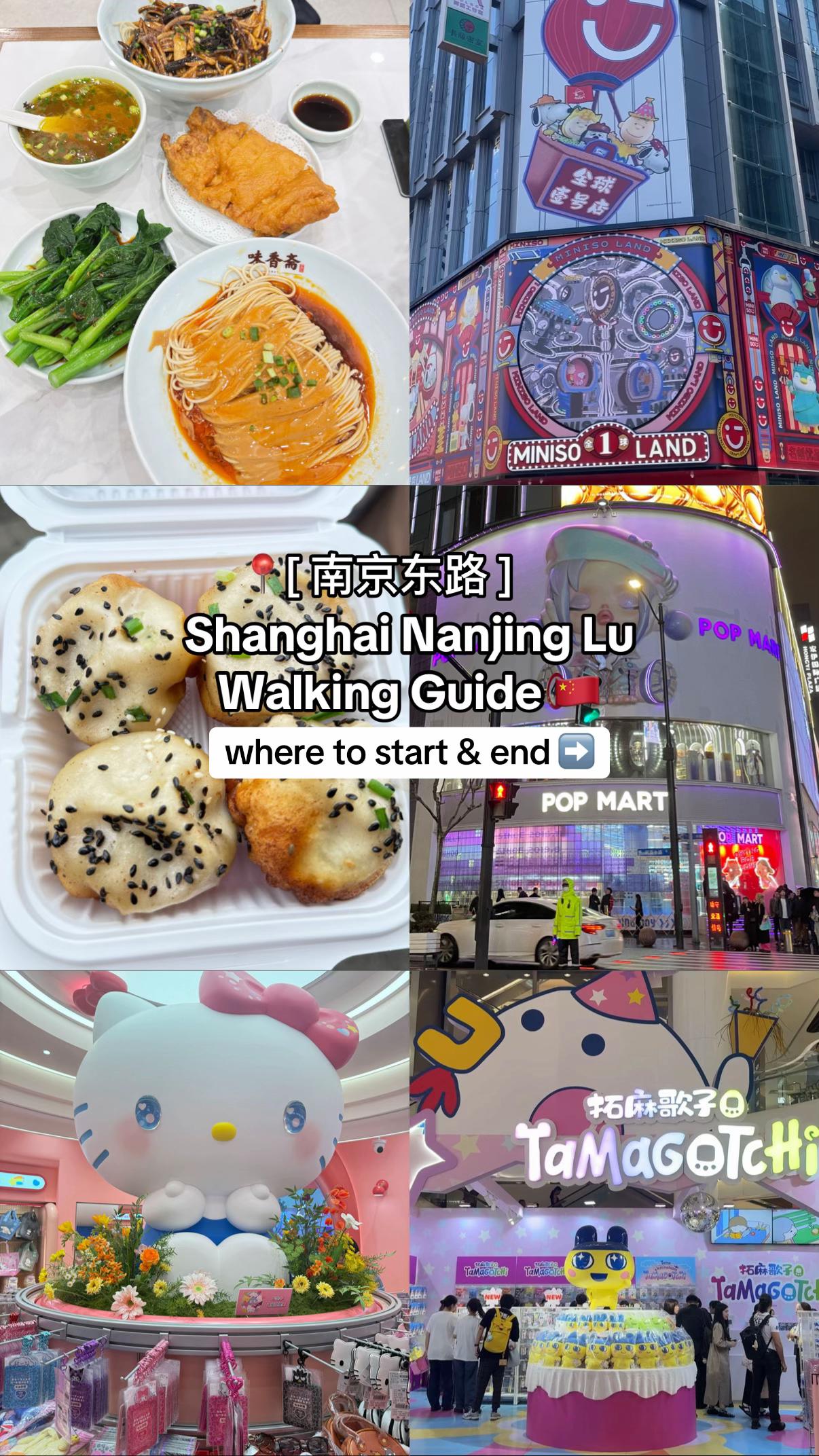 Nanjing Road Food and Trinket Shopping Route