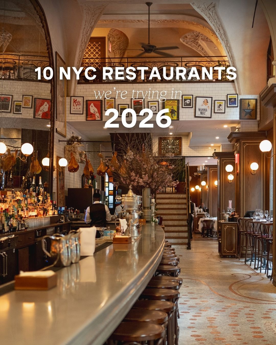 10 Restaurants in New York