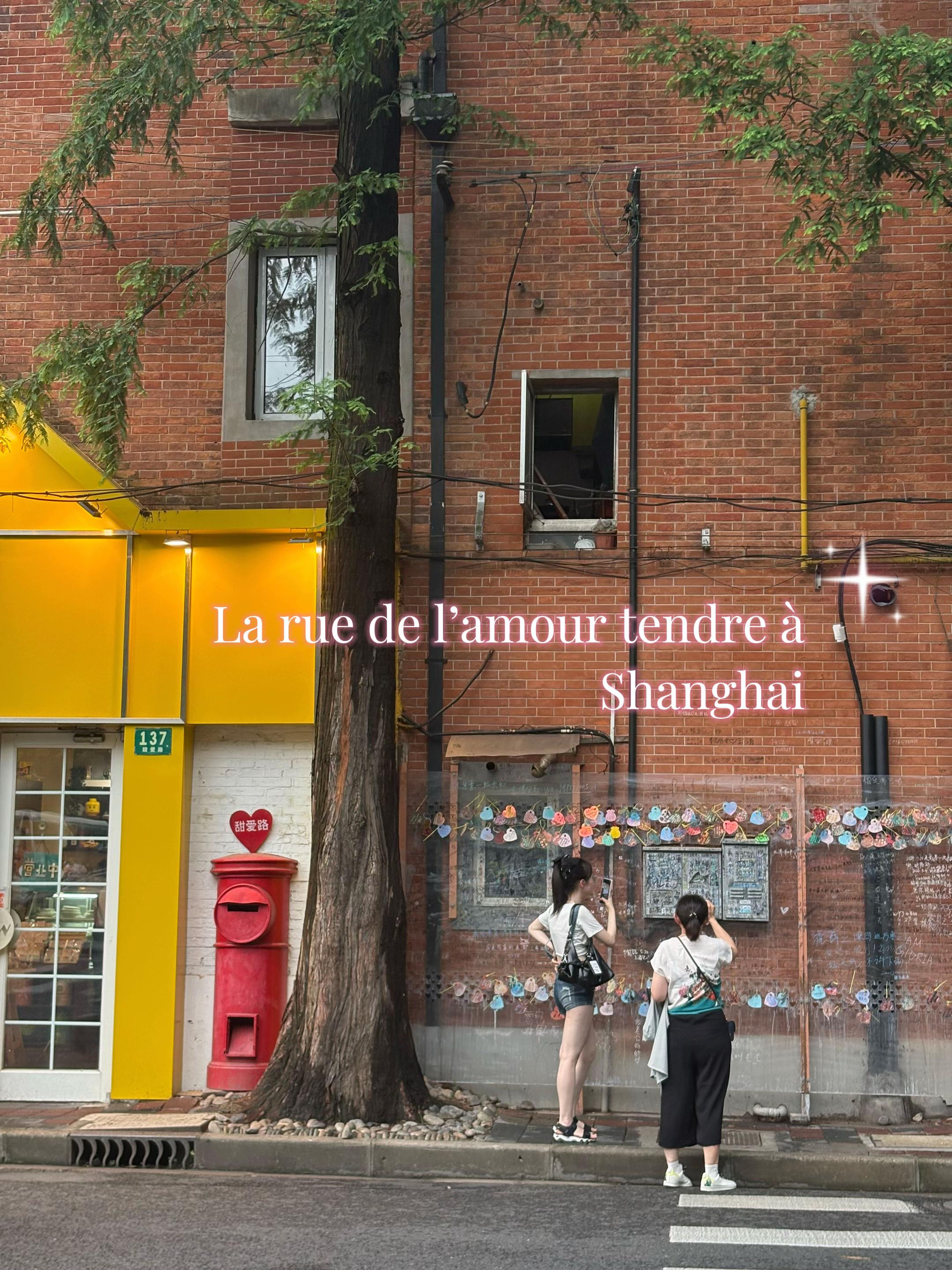 Shanghai's Tianai Road: A Street of Tender Love