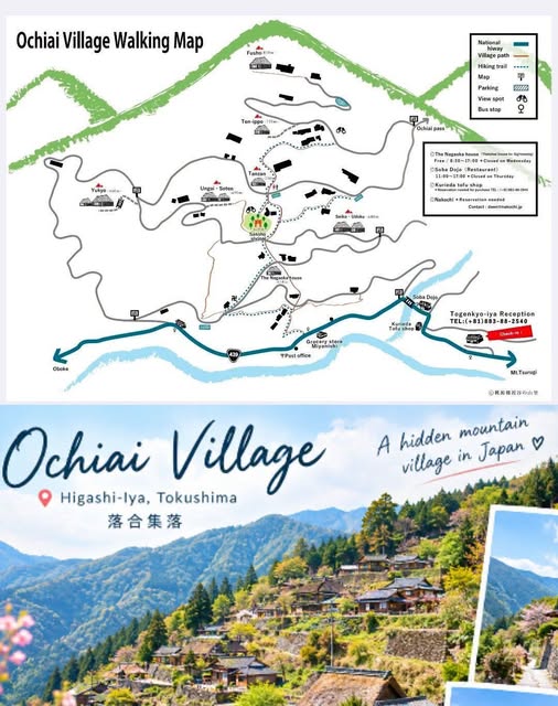 Explore Japan's Iya Valley and Awaji Island