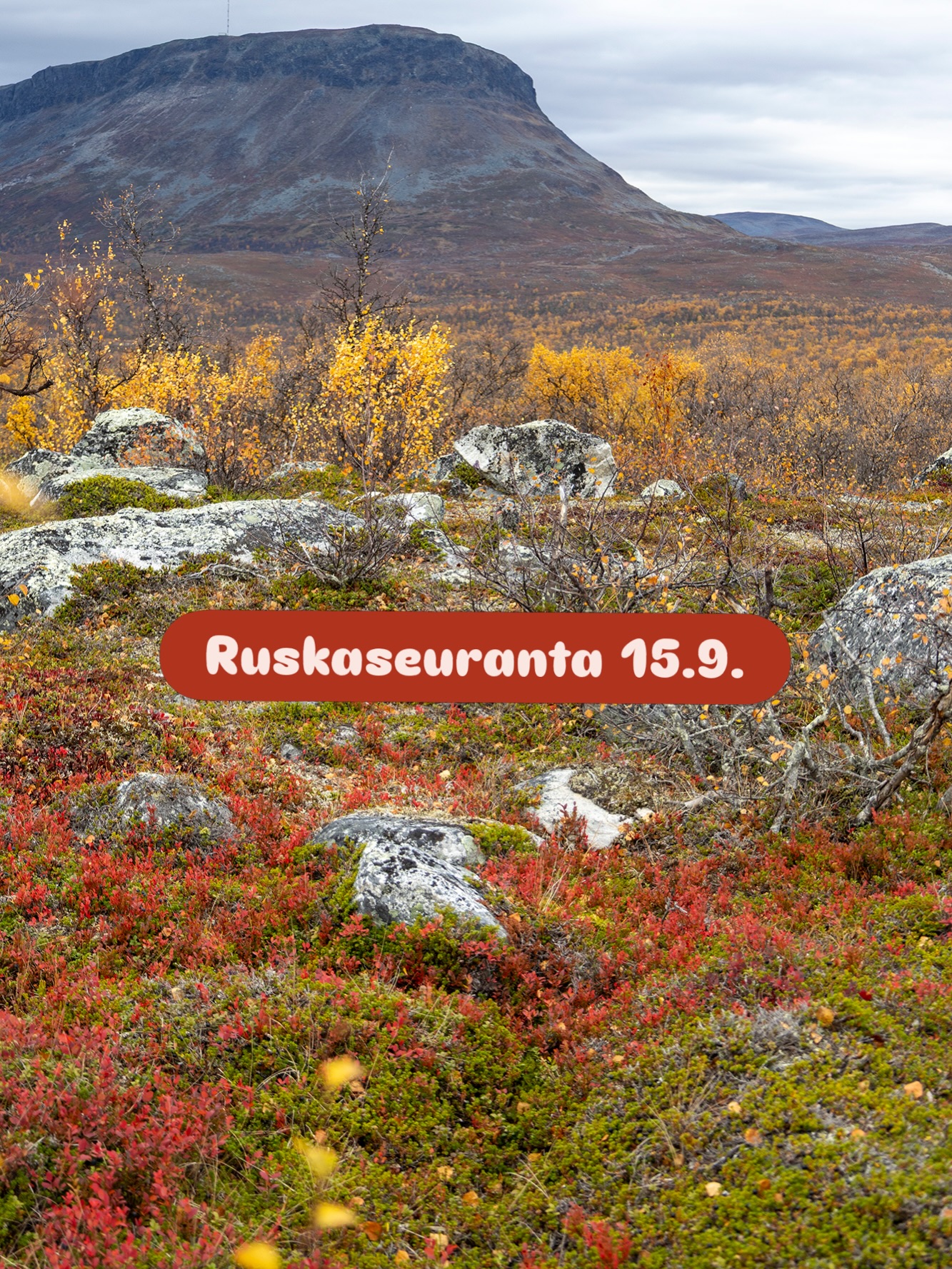 Kilpisjärvi's Autumn Foliage Season Concludes