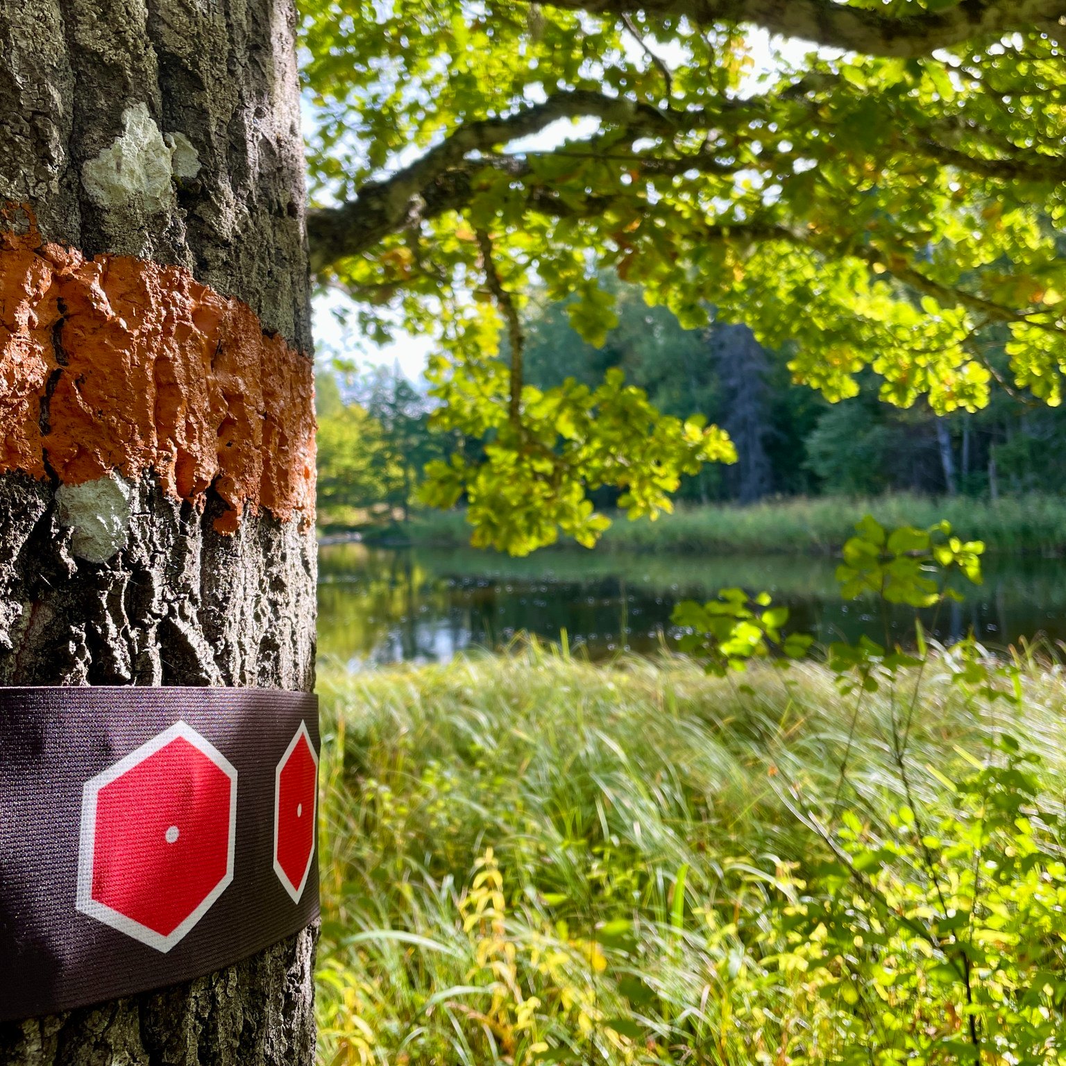 Swedish National Park And Hotel Nature Trails