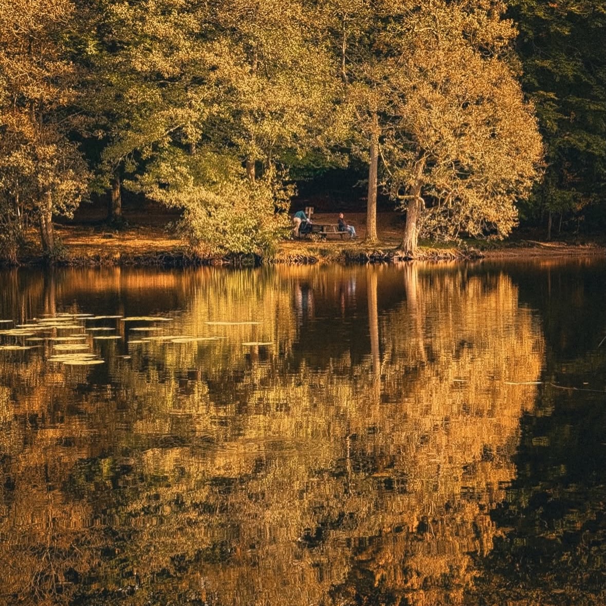 Skåne's Natural Wonders And Outdoor Adventures