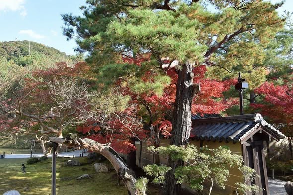 Kyoto's Eastern Temples and Streets