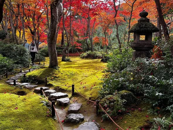 Explore Arashiyama's Bamboo Forest and Gardens
