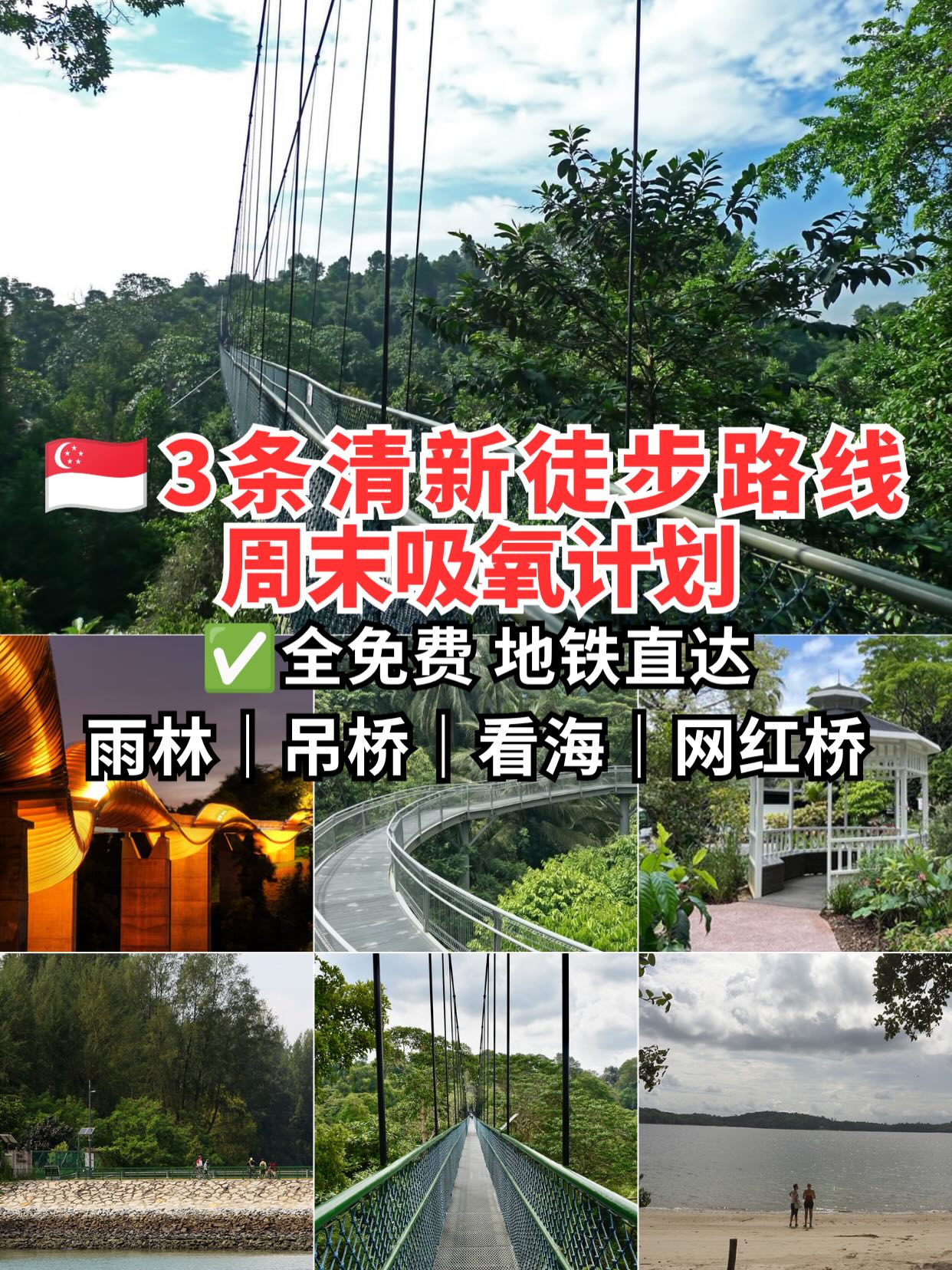 Singapore's Nature Trails For A Refreshing Weekend