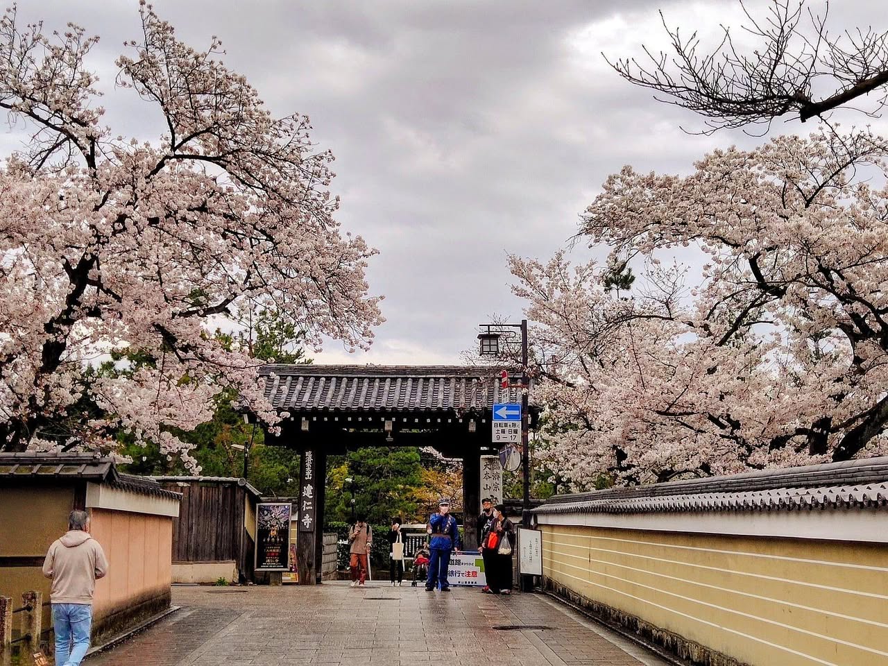 Kyoto's Historic Streets And Shrine