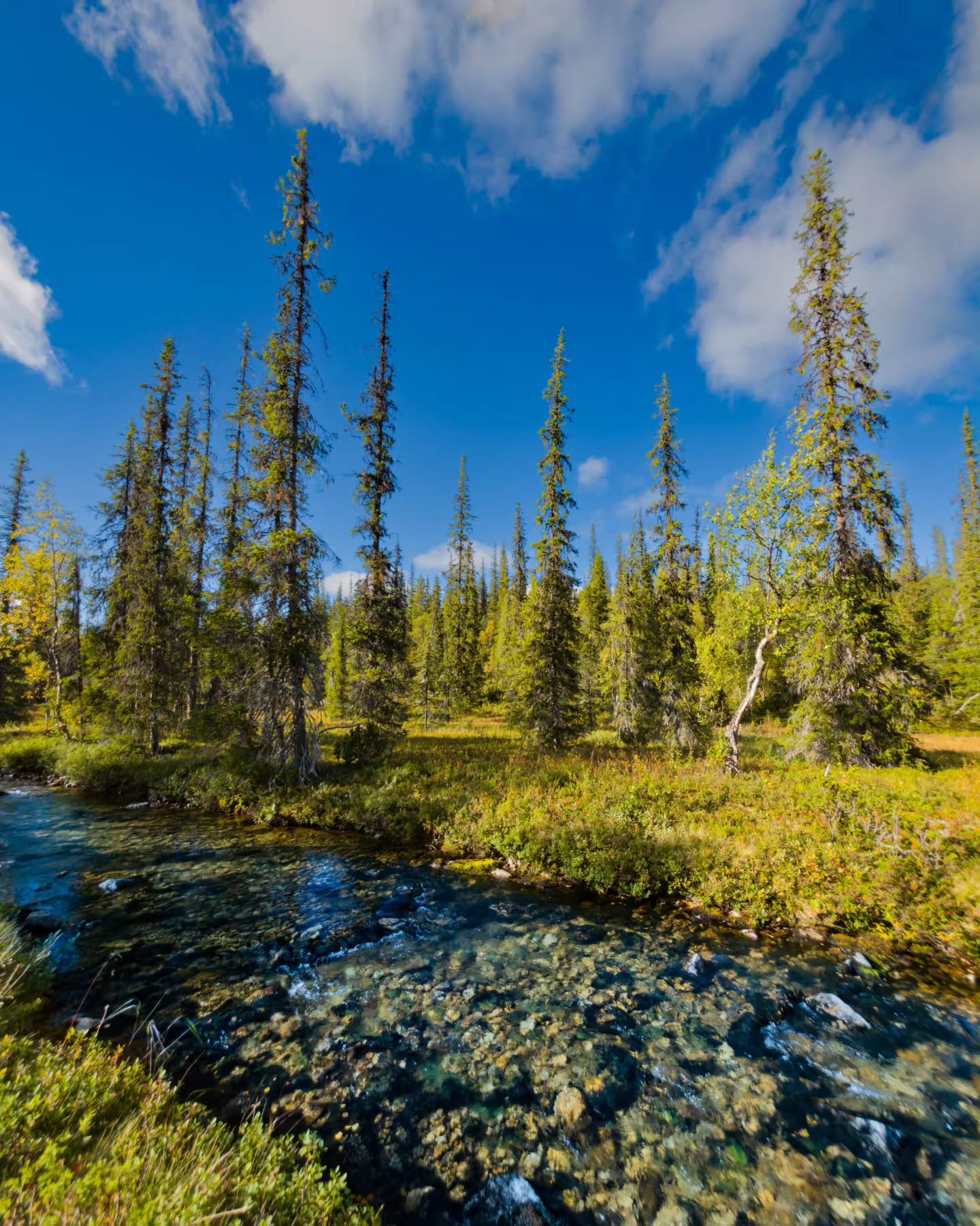 Finnish Wilderness and National Park Hiking