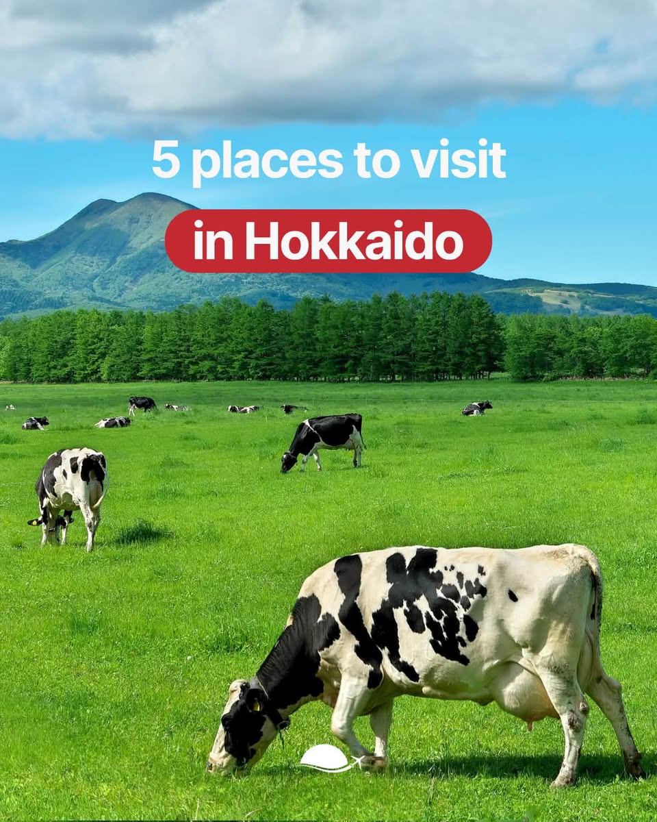 Hokkaido's Natural Wonders And Scenic Landscapes