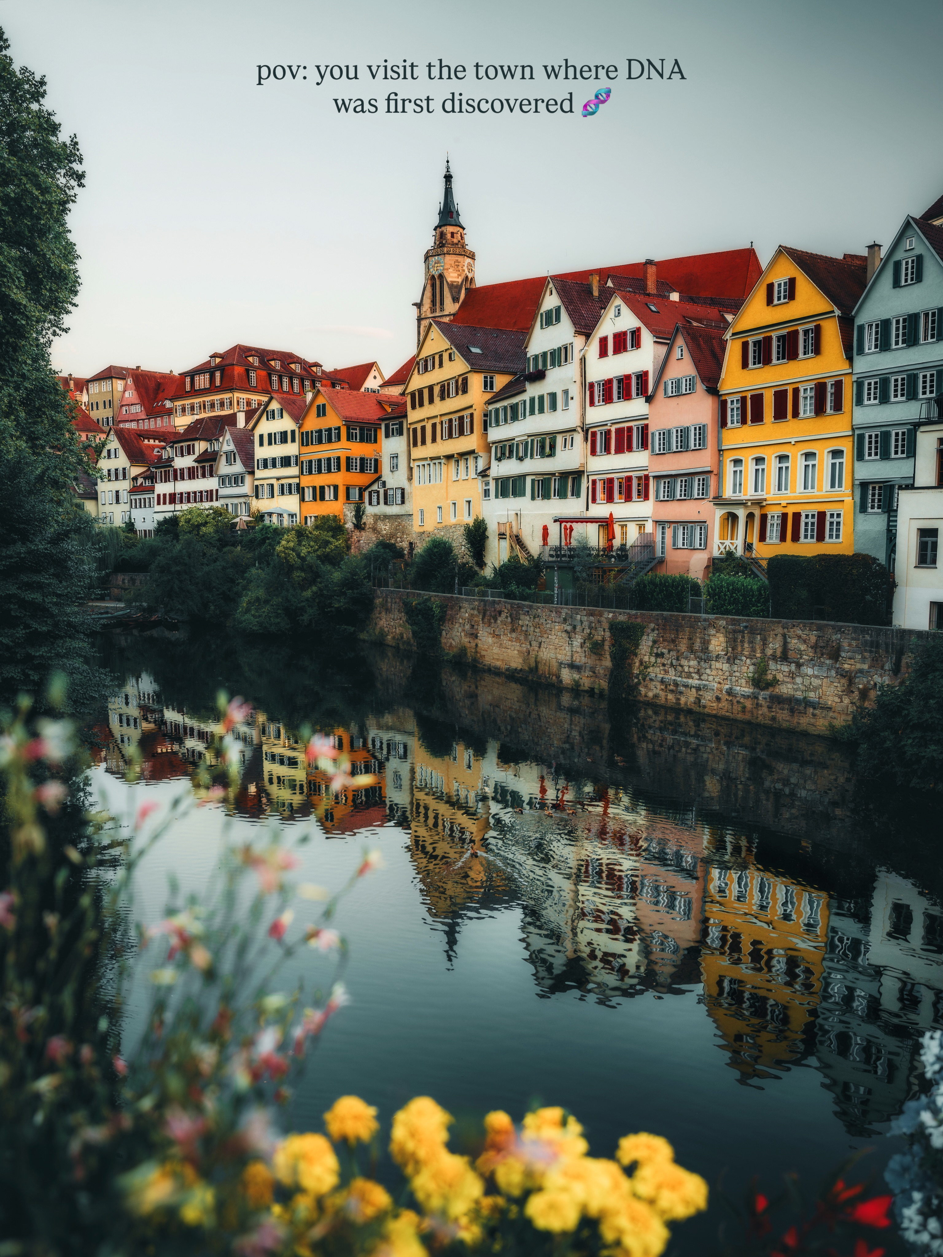 Tübingen: A Historic Town With A Scientific Legacy