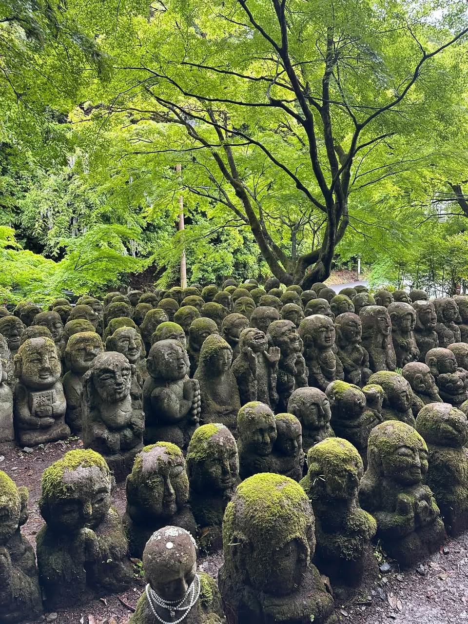 Otagi Nenbutsuji Temple's Whimsical Stone Statues