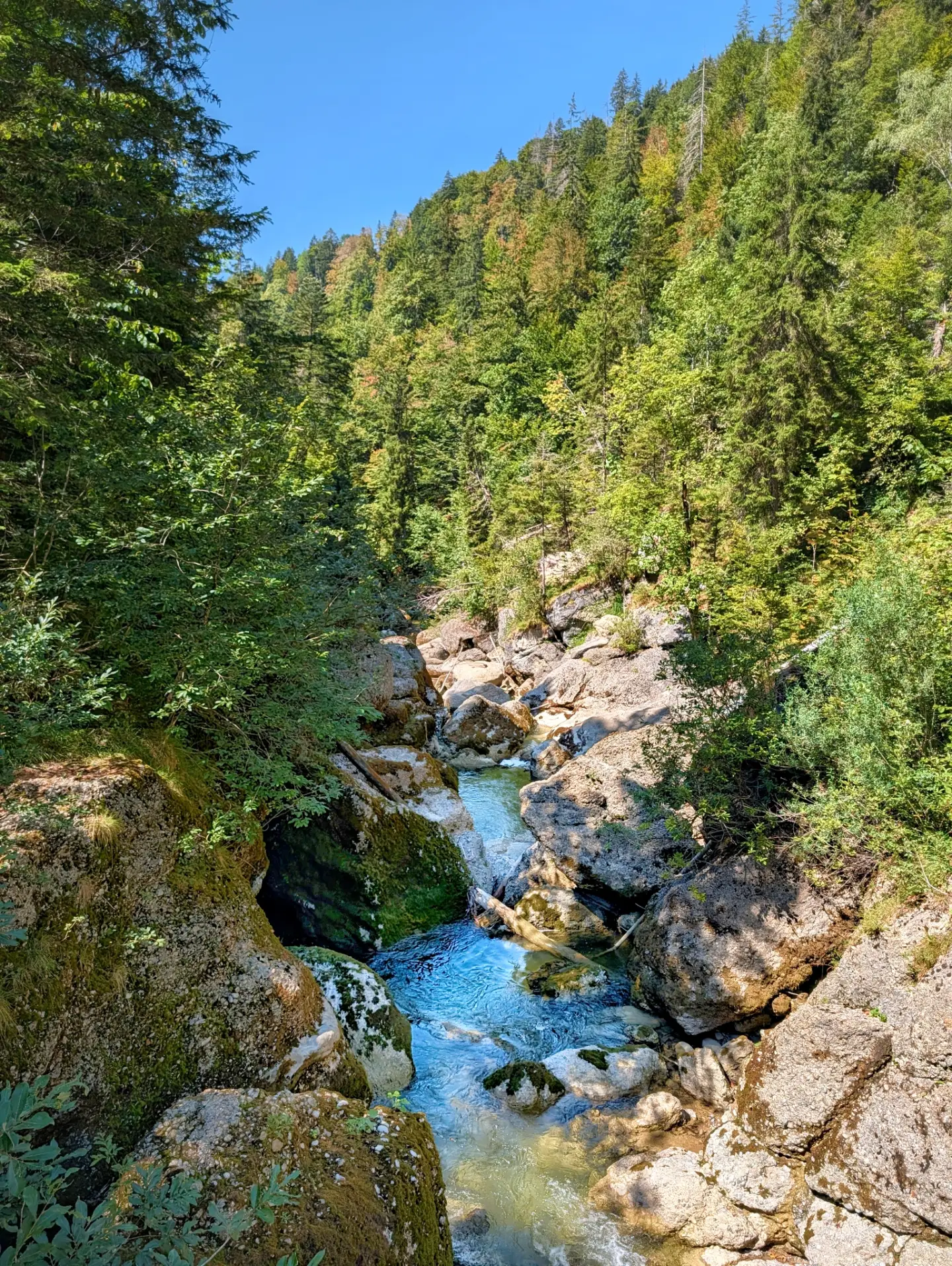 Alpine Hiking and Cheese Dairy Trail