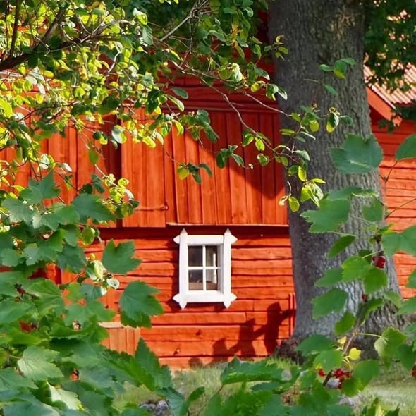 Medieval Village and Heritage Site Near Uppsala
