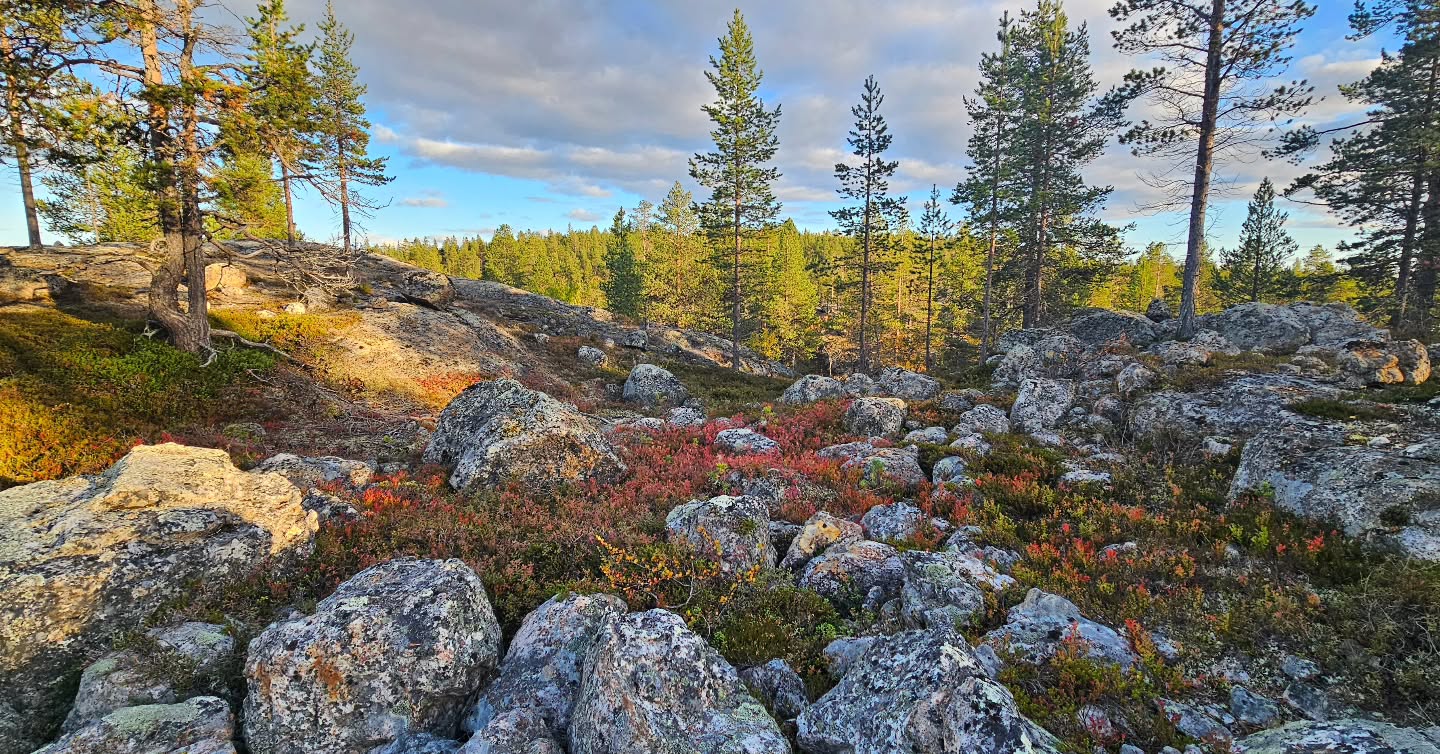 Arctic Universities and Travel Destinations