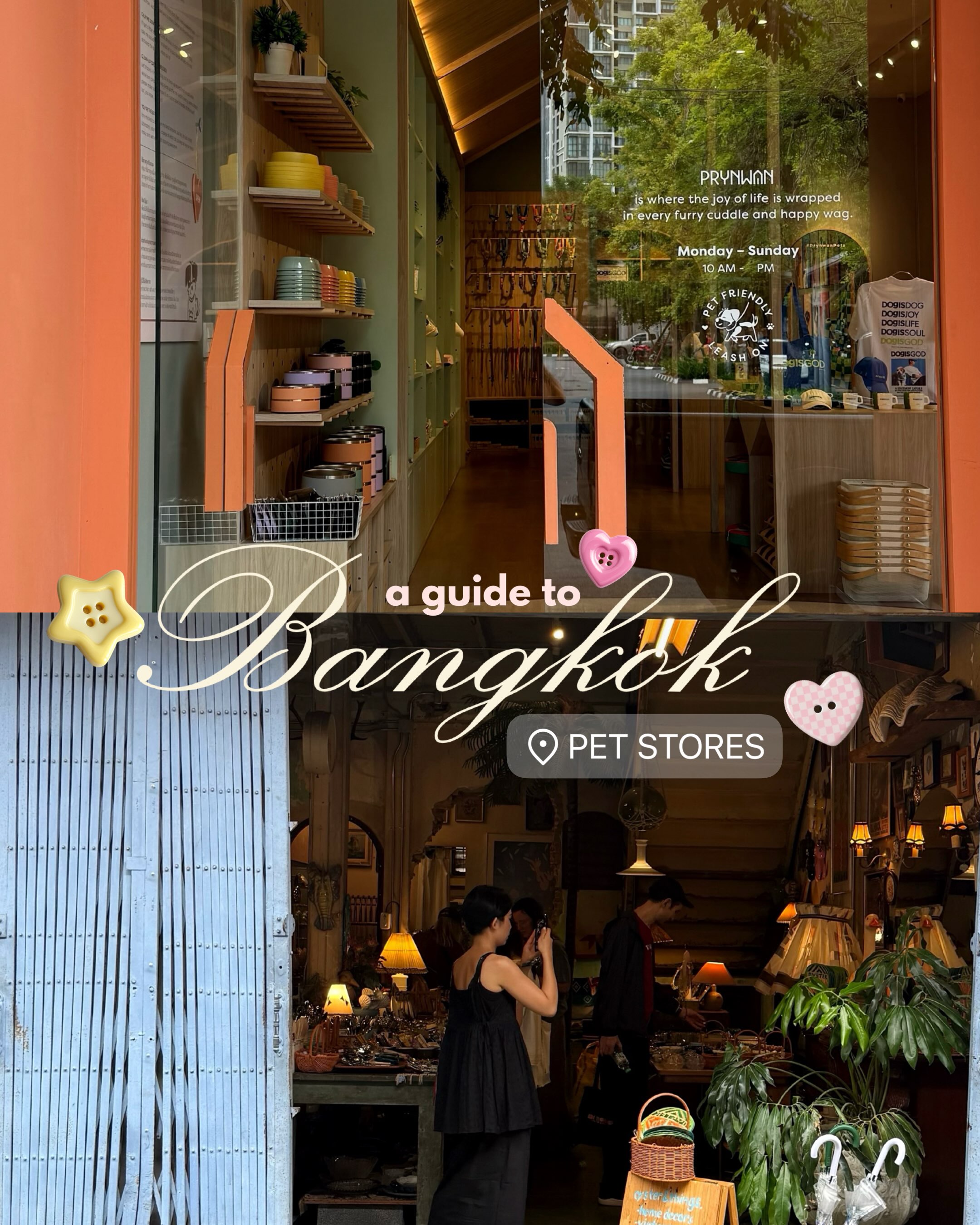 Bangkok's Wacky Pet Boutiques