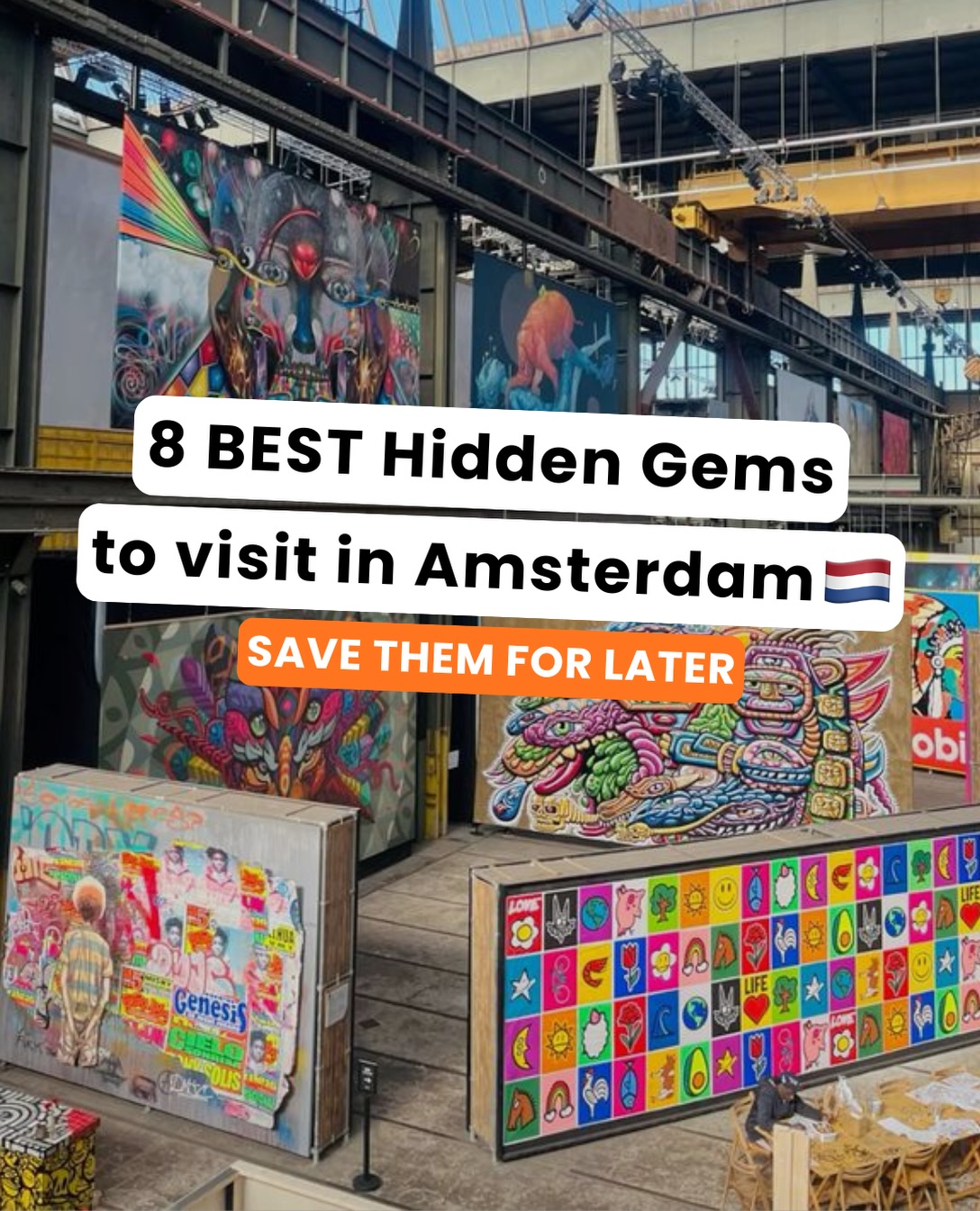 Amsterdam's Hidden Gems: Cat Cafe, Street Art, and More