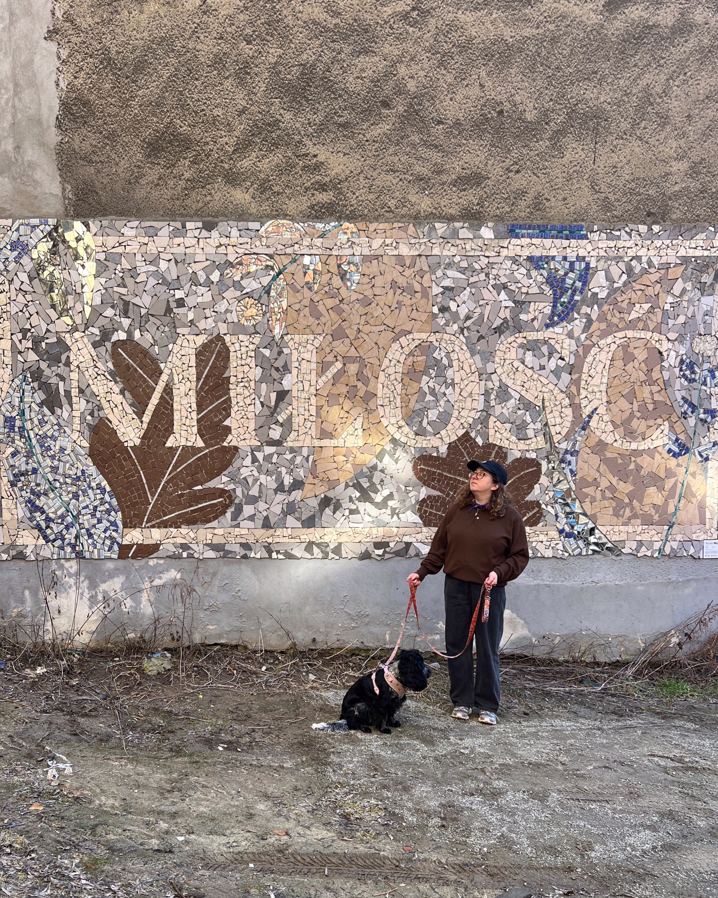 Szczecin's Enchanting Mosaics And Notable Locales