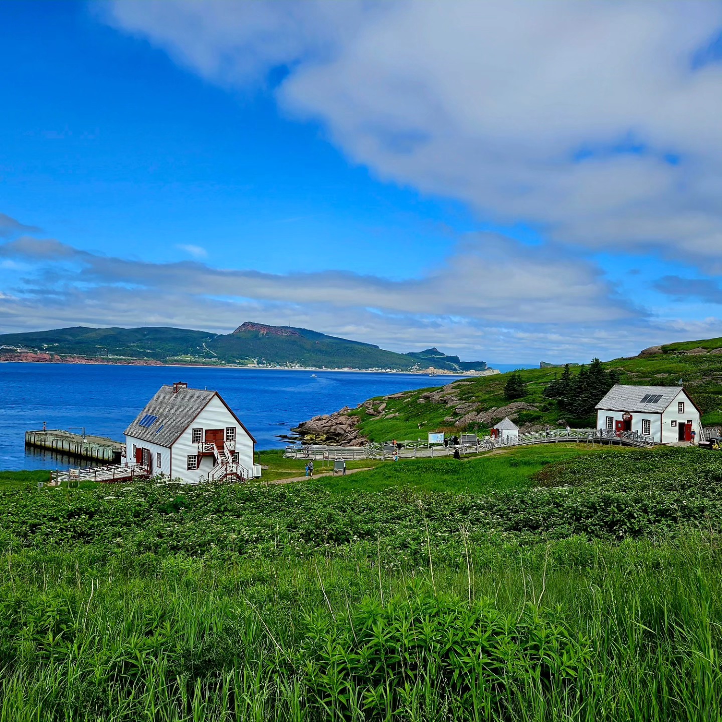Gannet Colony Island and Percé Rock Attractions