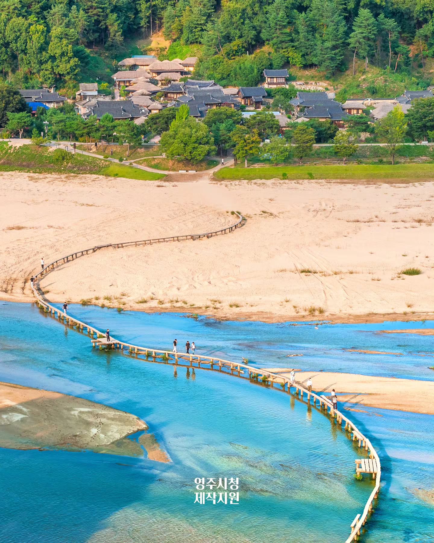 Explore Punggi's Ginseng History and Traditional Villages