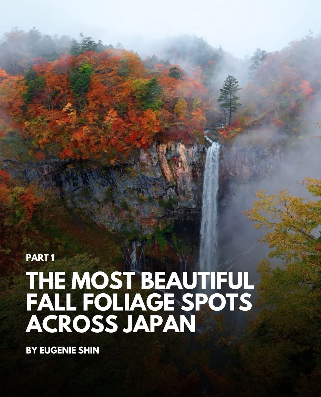 Japan's Best Autumn Foliage Spots Beyond Kyoto