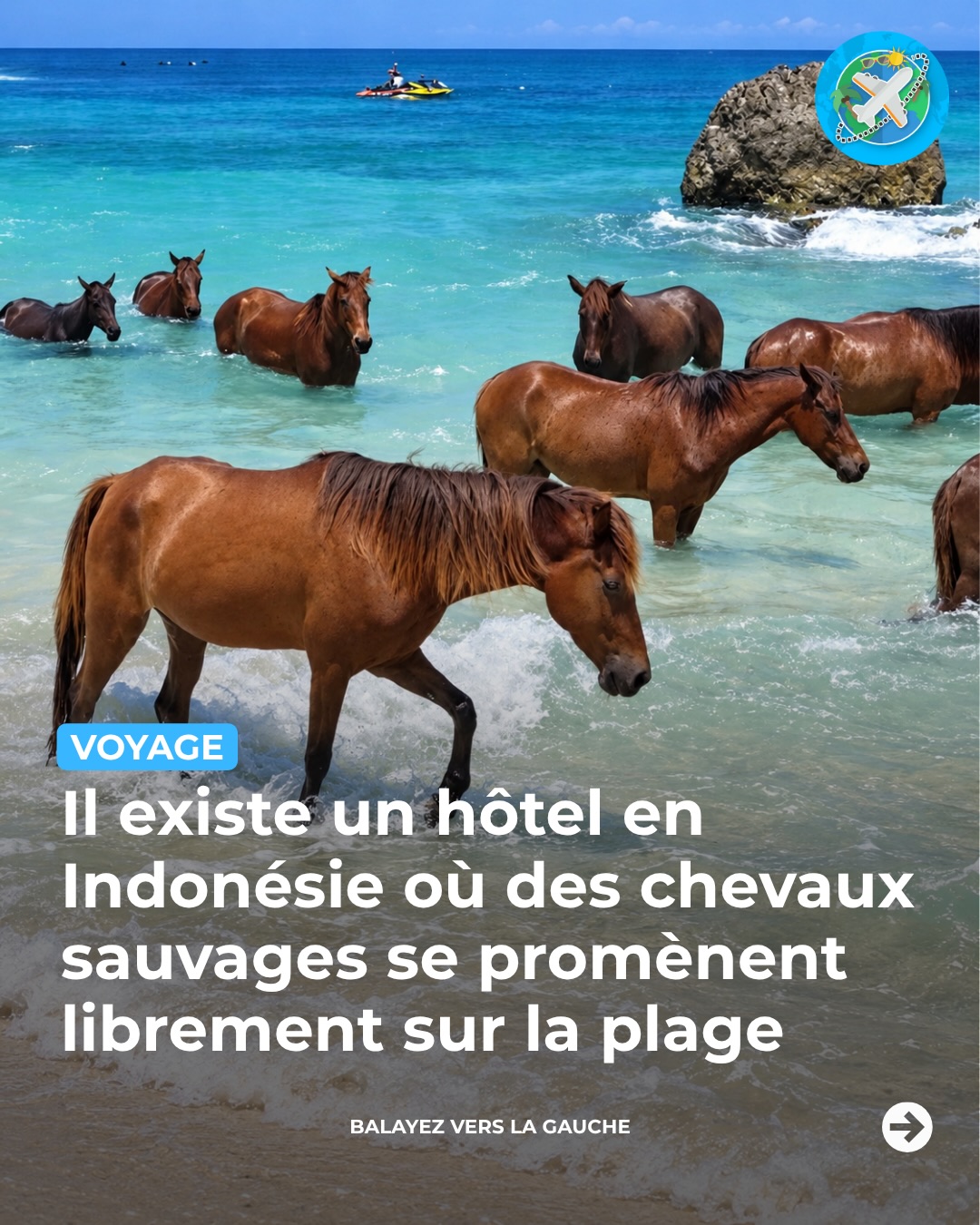 Luxury Island Hotel Features Free-Roaming Horses