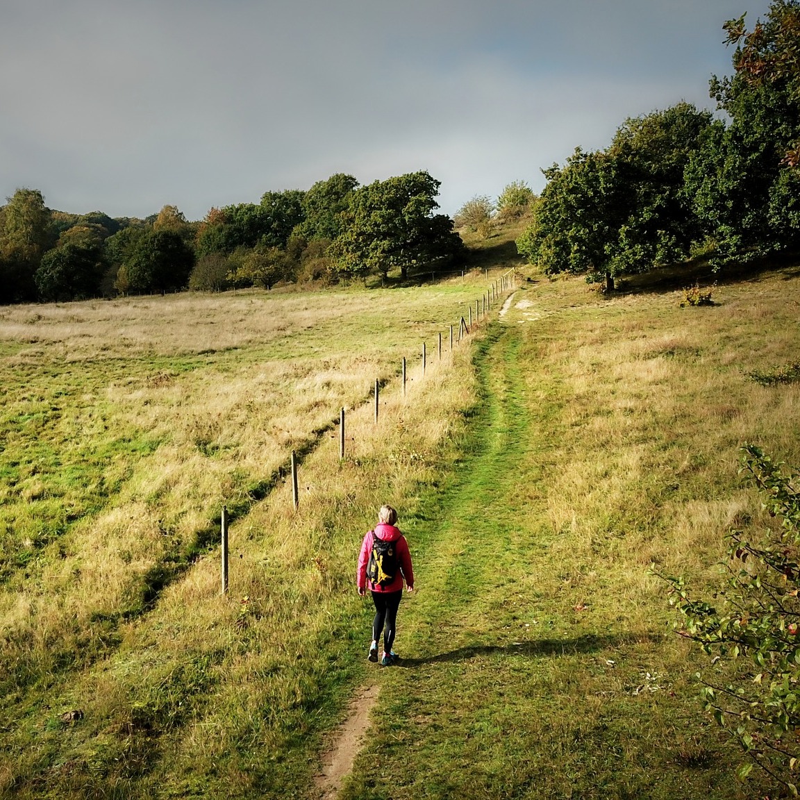 Skåneleden And Skrylle Recreational Area Hikes