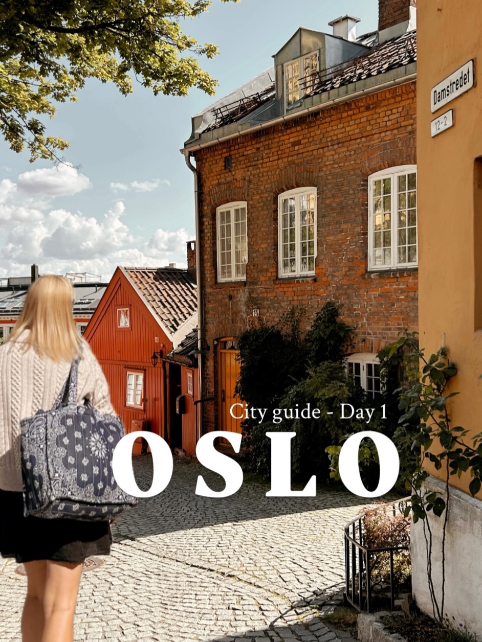 Oslo City Exploration on Foot