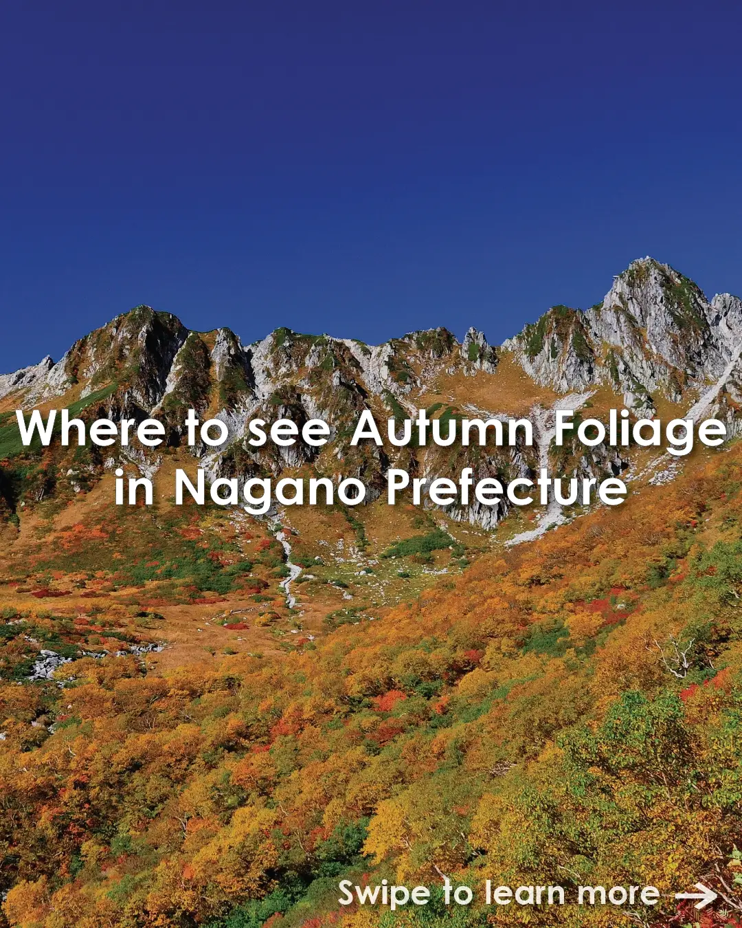 Nagano's Best Autumn Foliage Viewing Spots