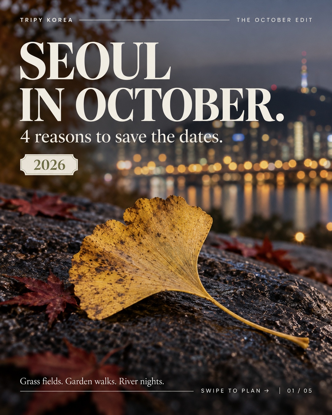 Seoul Parks Feature Autumn Festivals and Light Shows