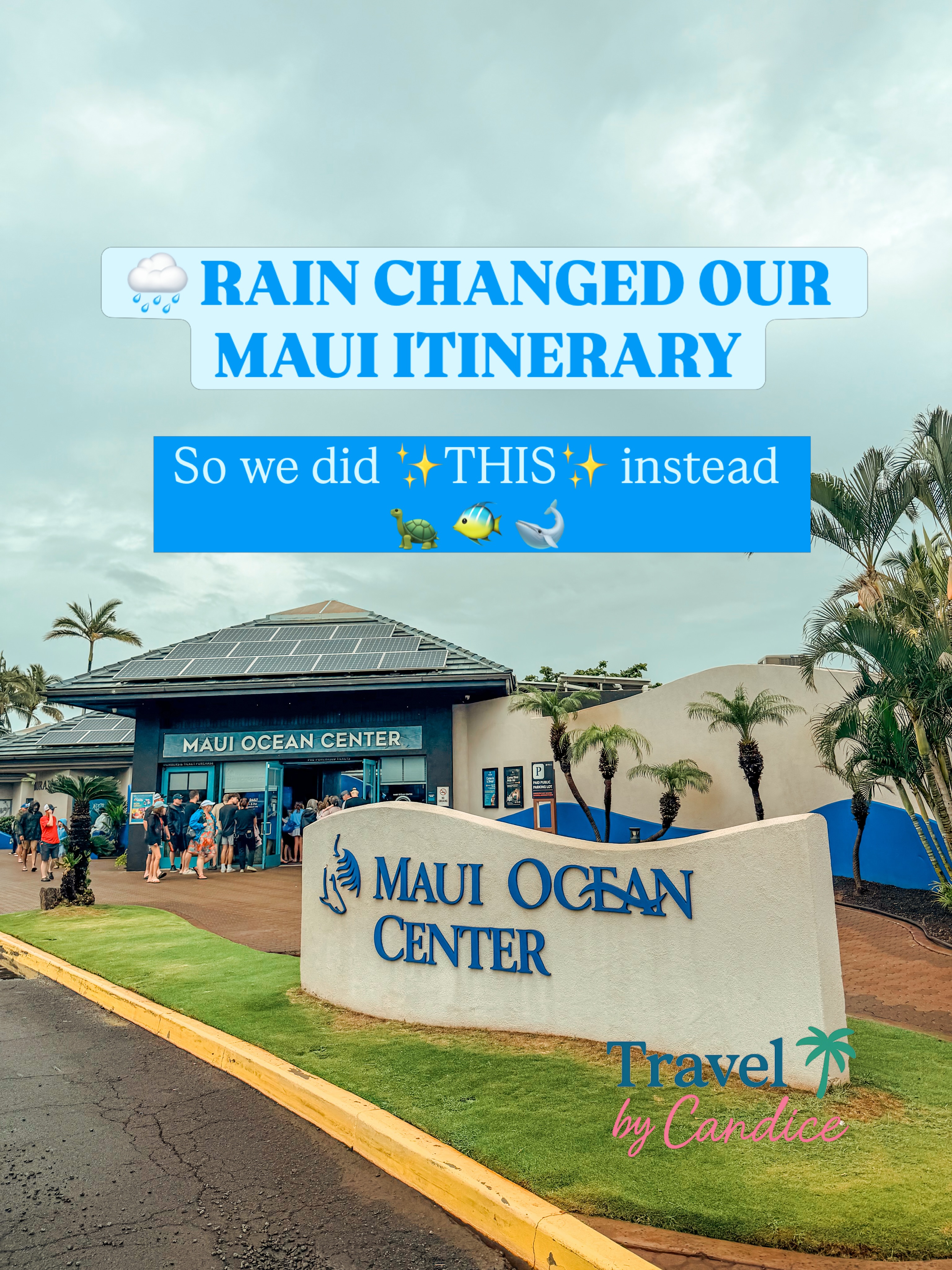 Maui Aquarium and Shave Ice for Rainy Days