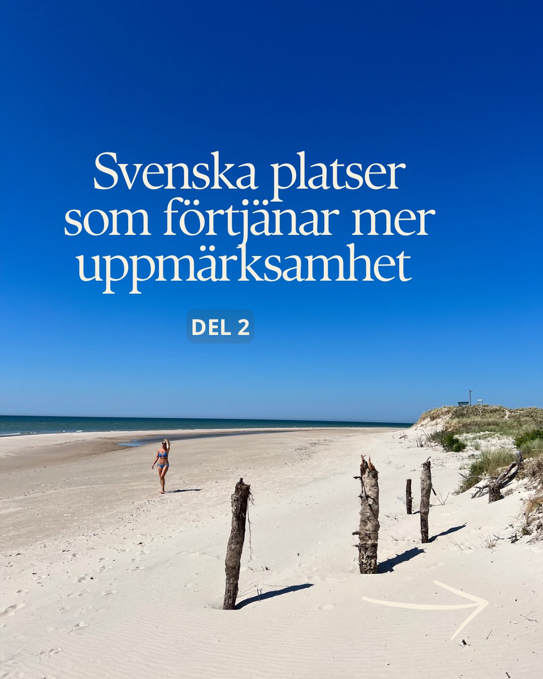 Swedish Gems: Restaurants, Hotels, and Nature Spots