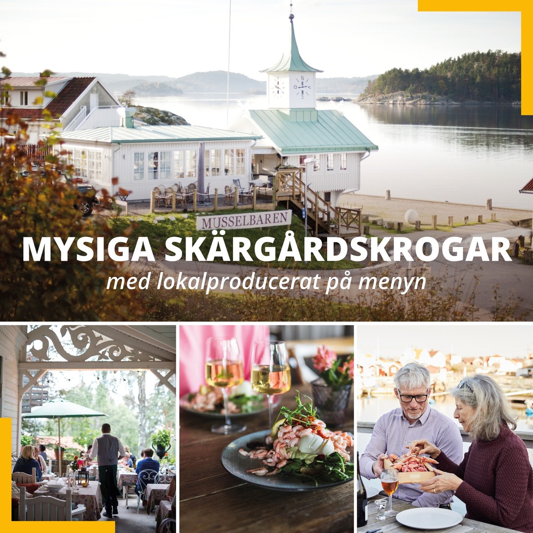 Archipelago Restaurants With Locally Sourced Seafood