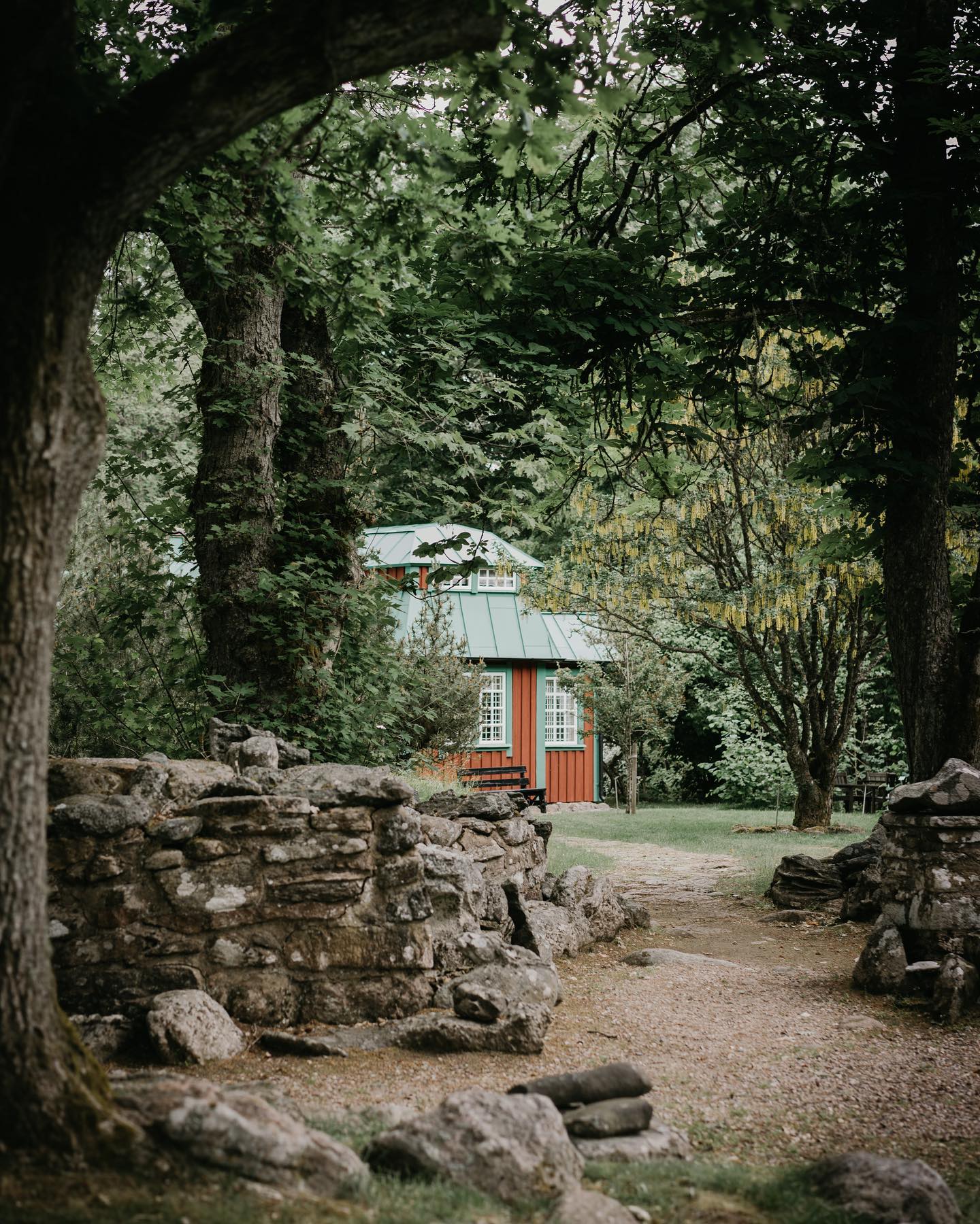 Alphems Arboretum: A Worldly Tree Collection
