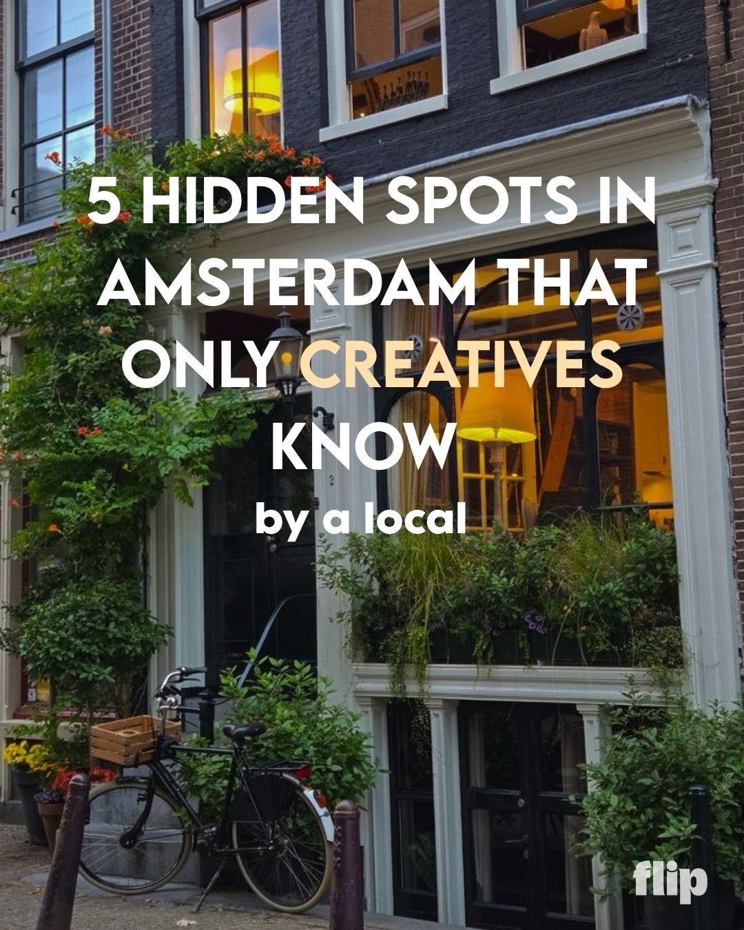 Amsterdam's Creative Havens for Gloomy Days