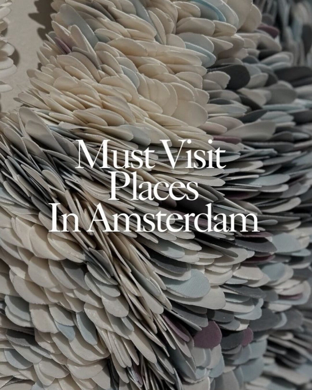 Amsterdam's Contemporary Design and Art Destinations