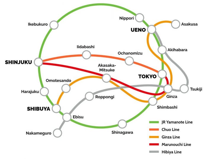 Tokyo's Essential Neighborhoods and Transit Hubs