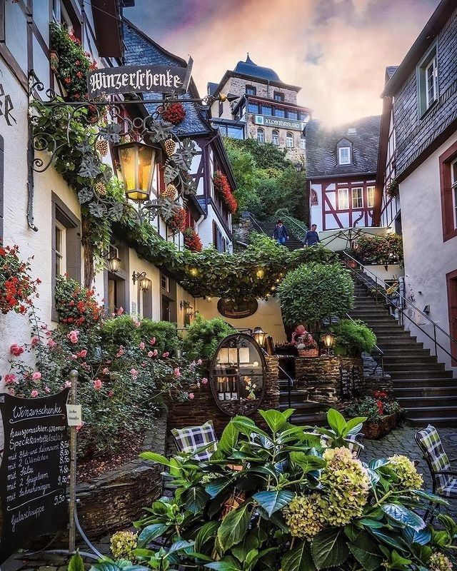 Charming German Villages and Vineyards
