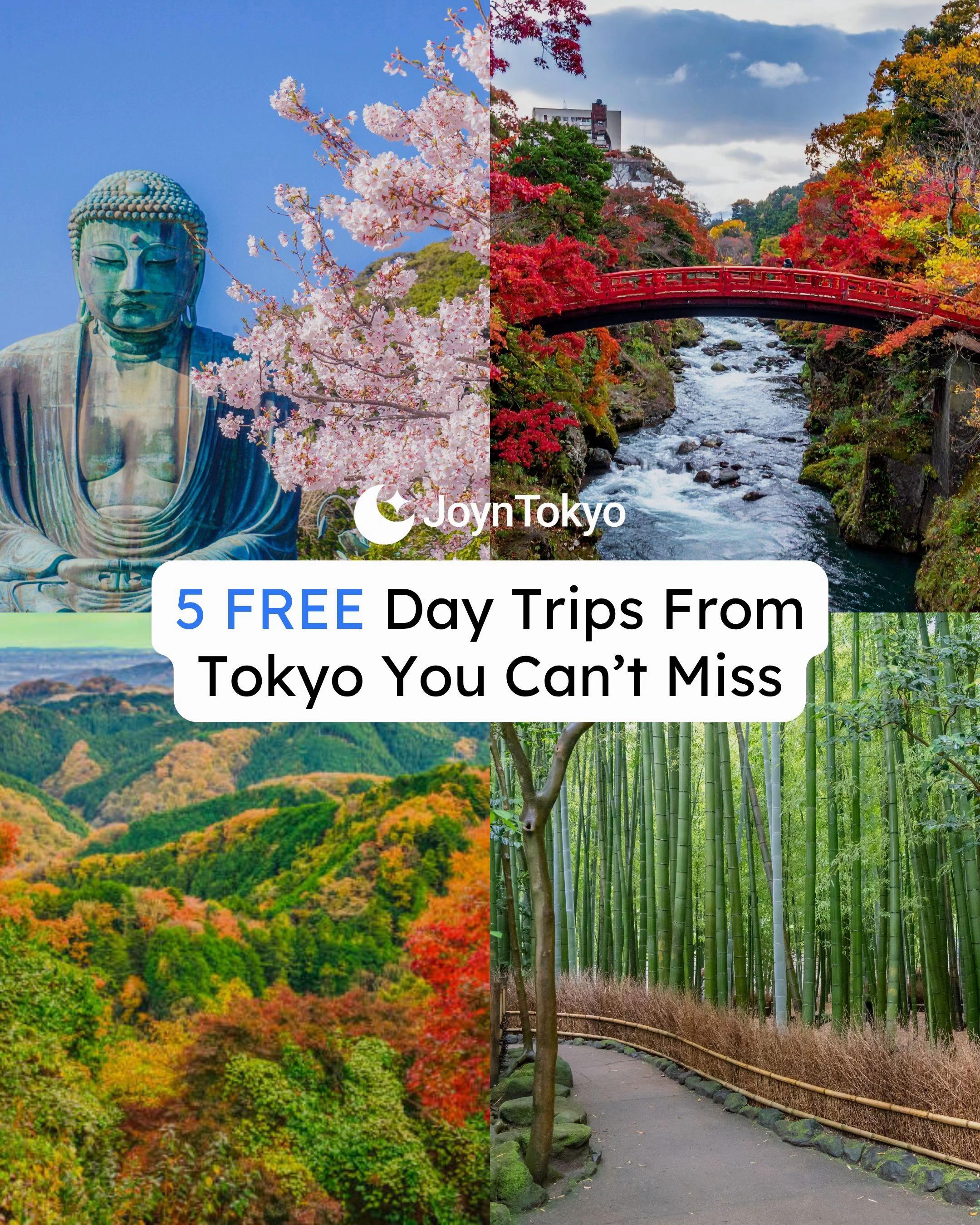Accessible Day Trip Destinations From Tokyo