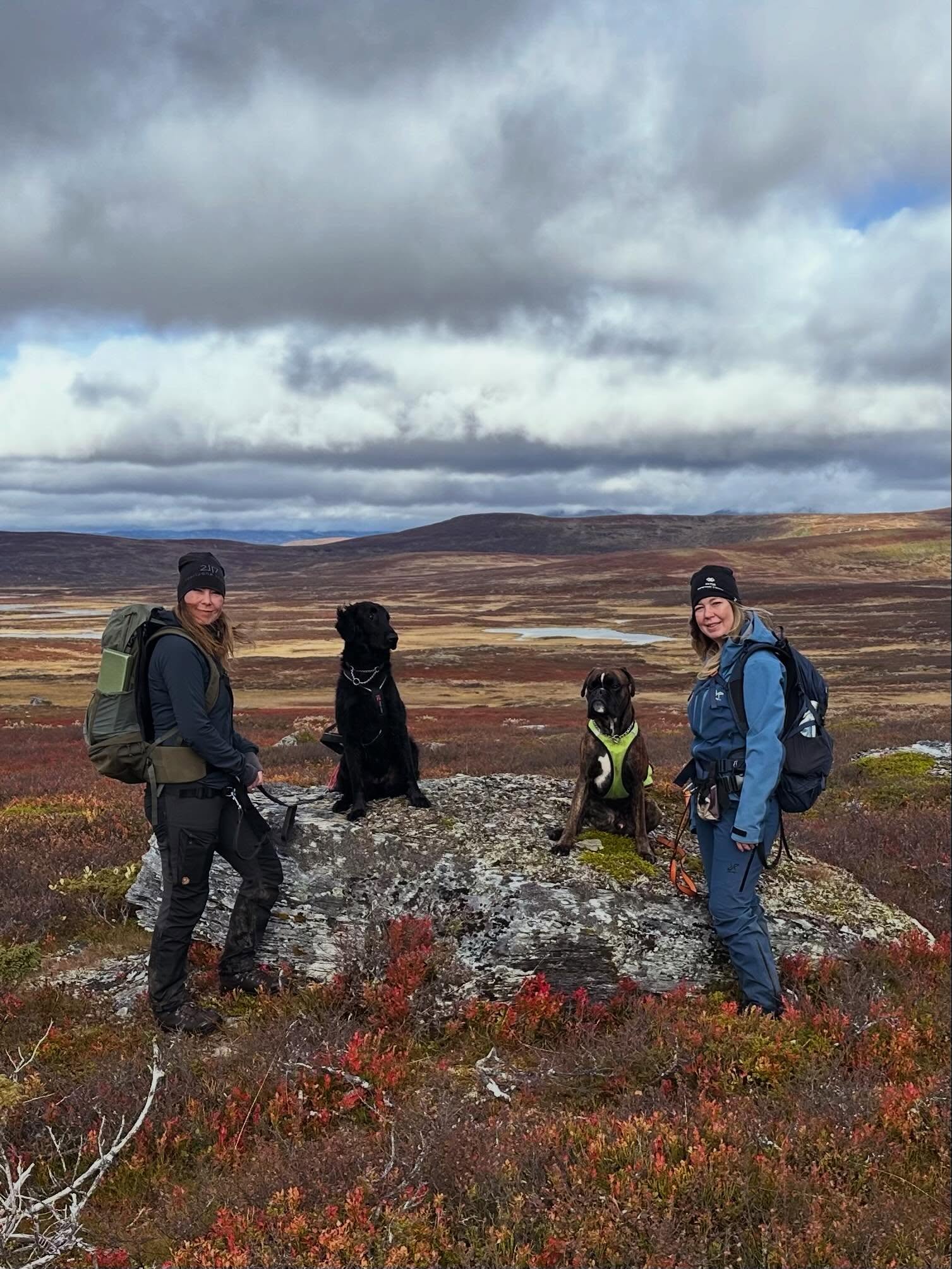 Swedish Mountain Trails For A Coffee Break