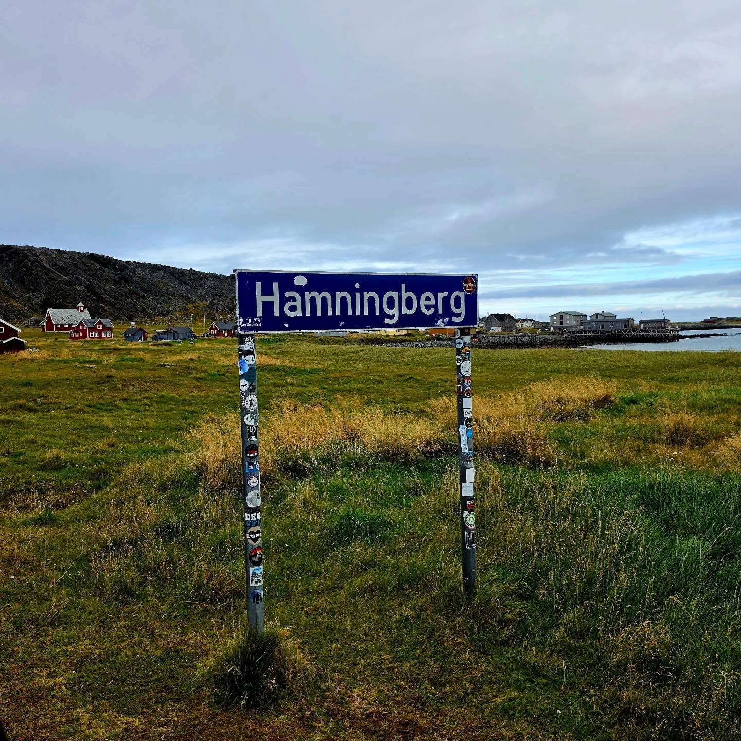 Varanger Peninsula: Arctic Birds and Dramatic Landscapes