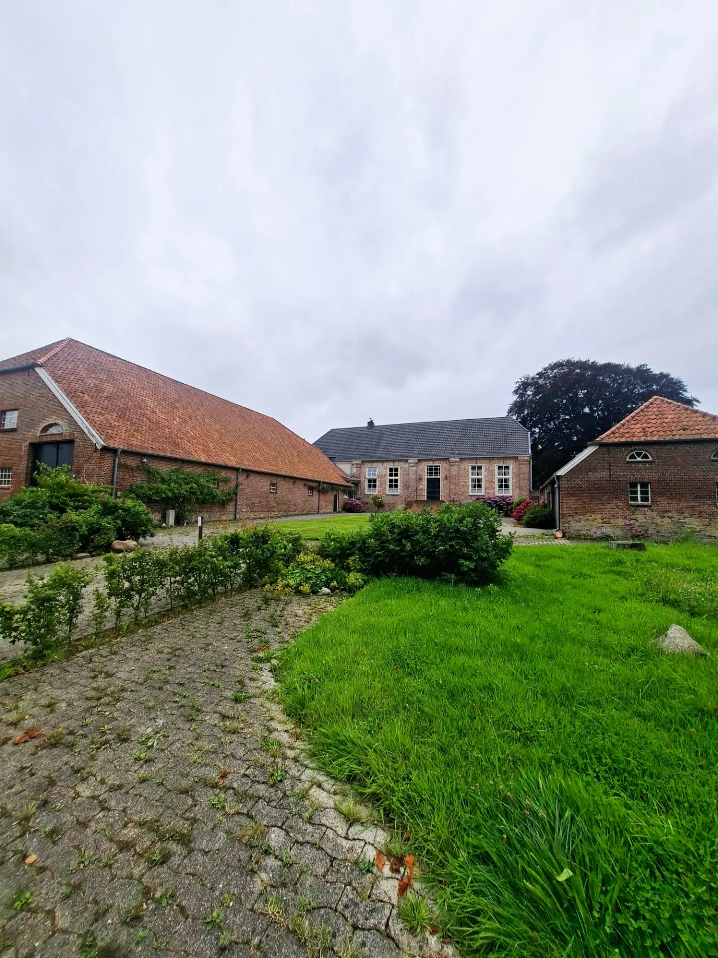 East Frisian Bike Tour Features Windmills And Harbors
