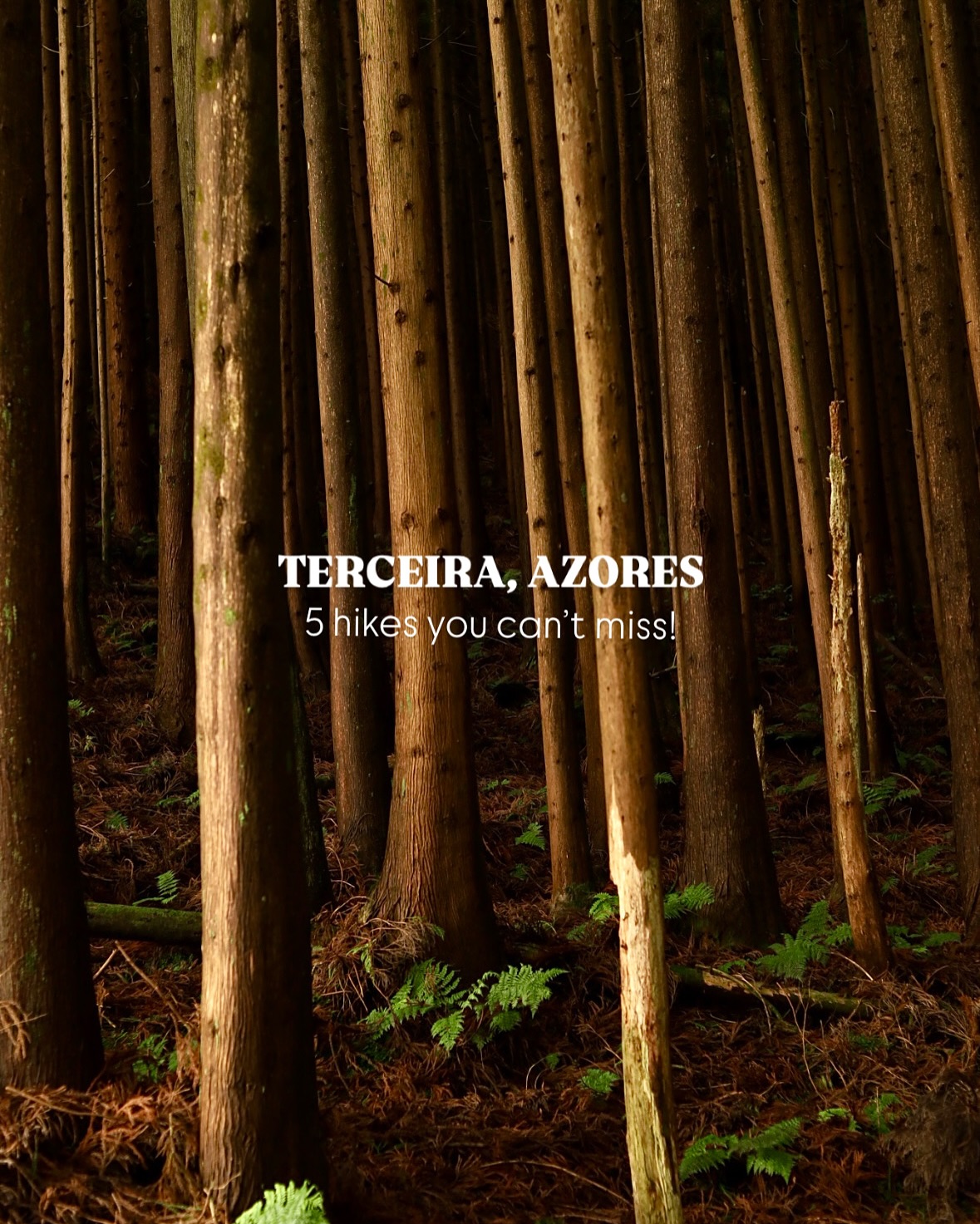 Terceira Island's Diverse Hiking Trails