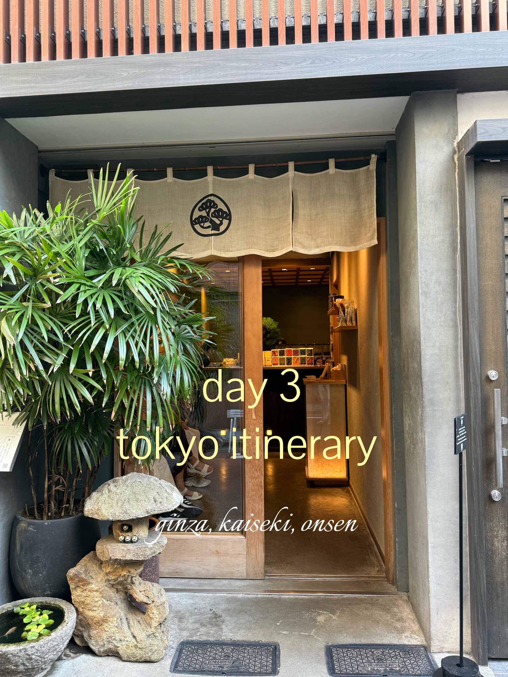 Ginza Shopping and Dining Exploration