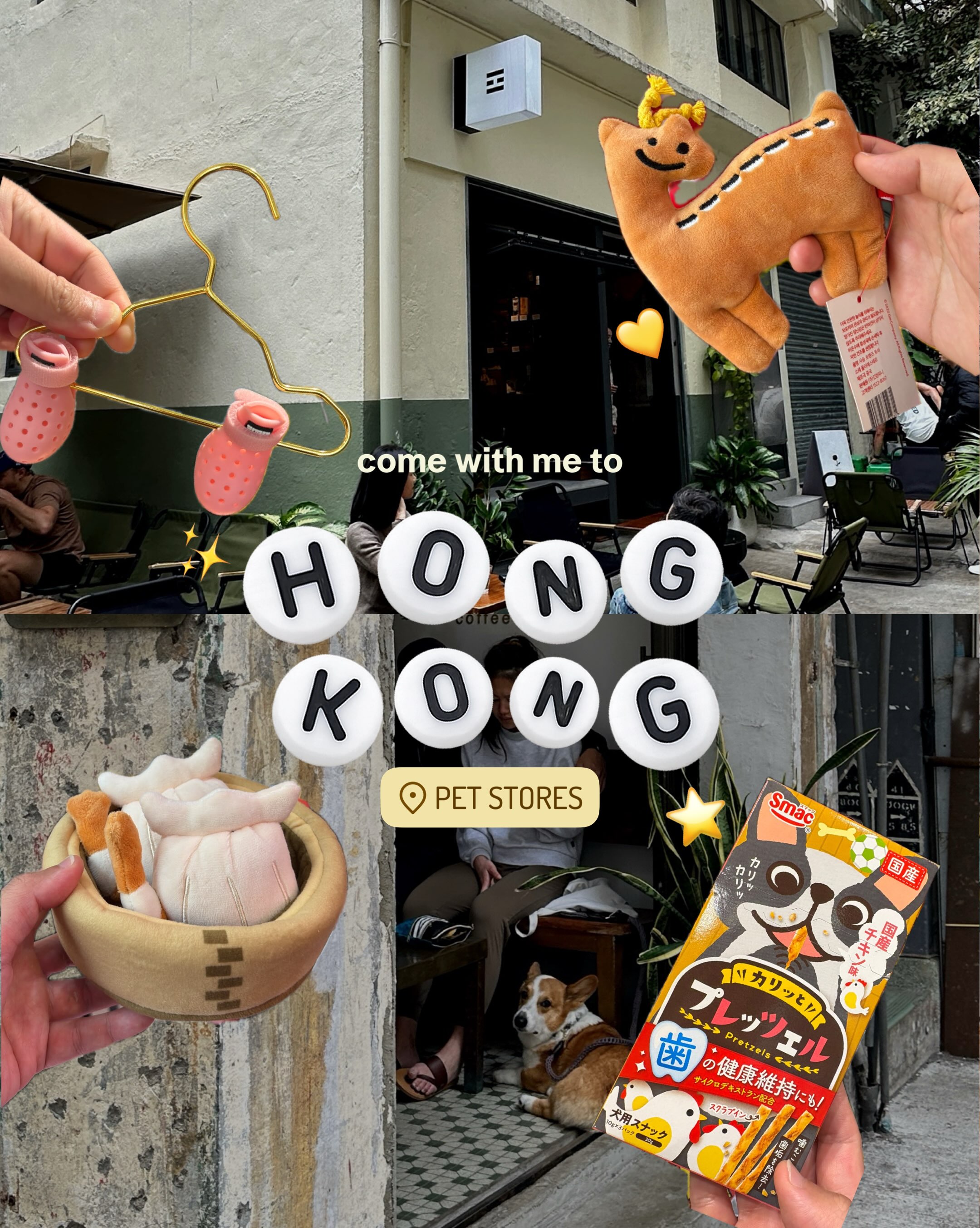 Hong Kong Shops Offer Unique Pet Supplies