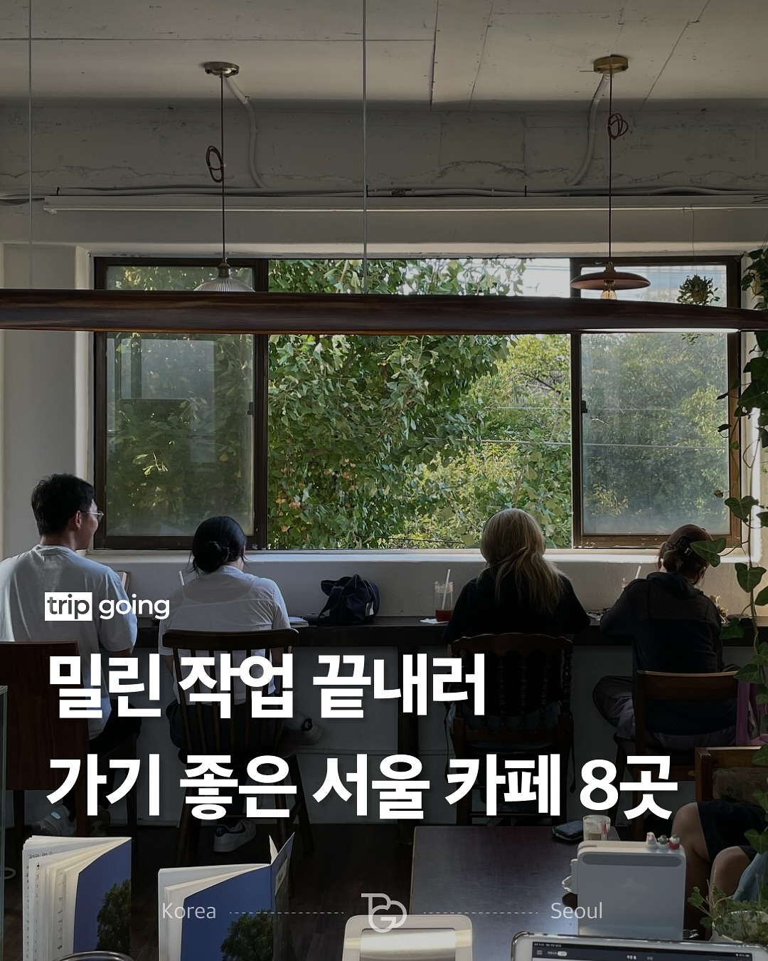 Seoul Cafes Ideal for Work and Concentration