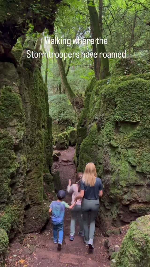 Enchanted Woodland That Inspired Fantasy Films