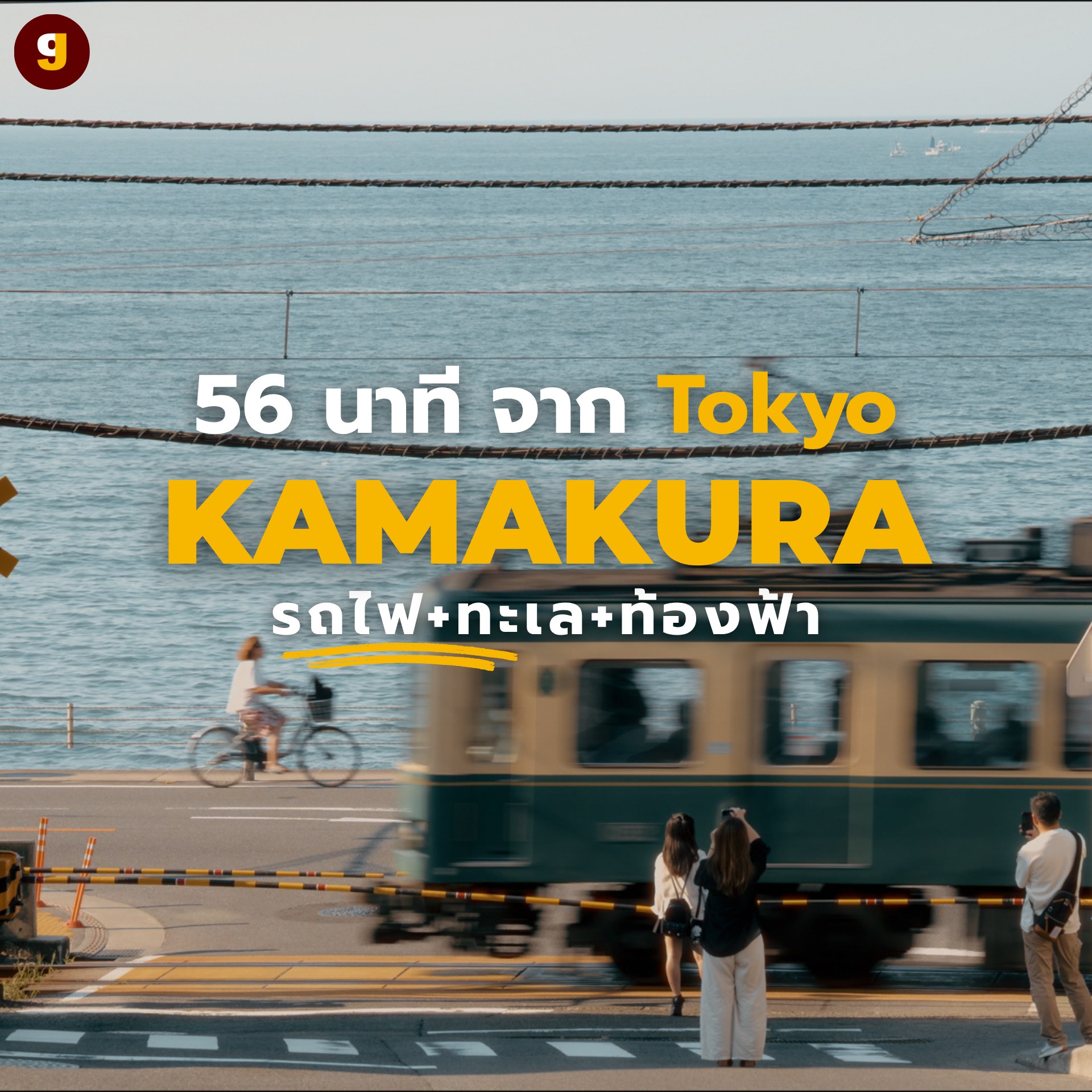 Kamakura Day Trip: Buddha, Shrines, and Scenic Views