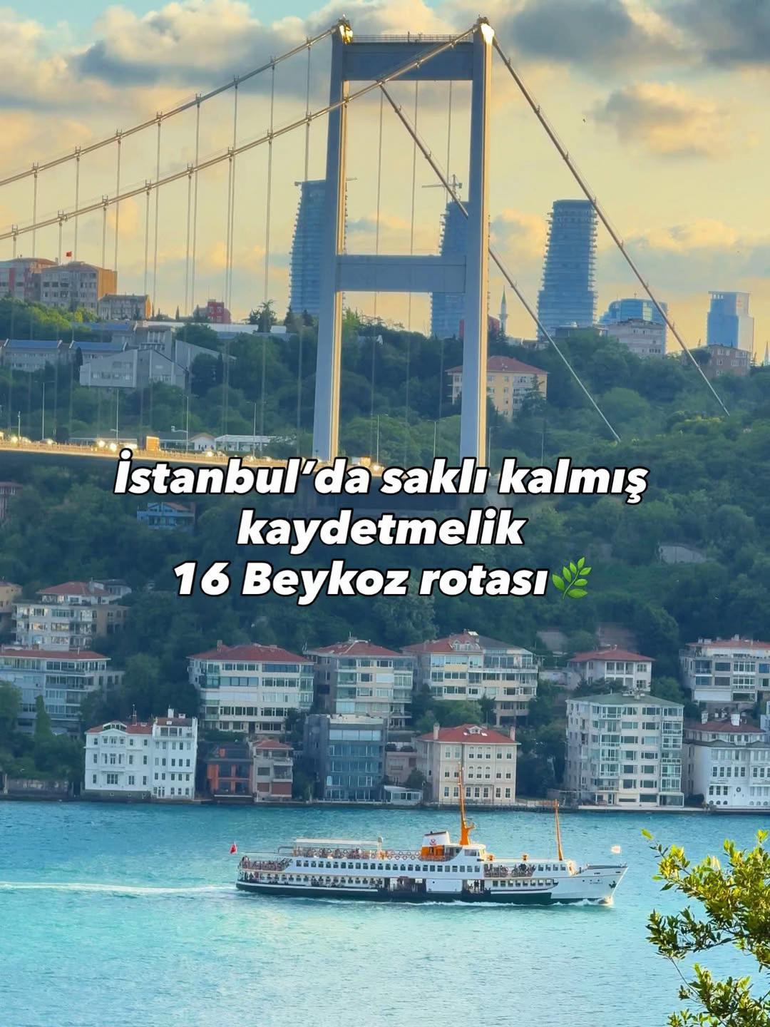 Beykoz's Bosphorus Views And Historic Sites