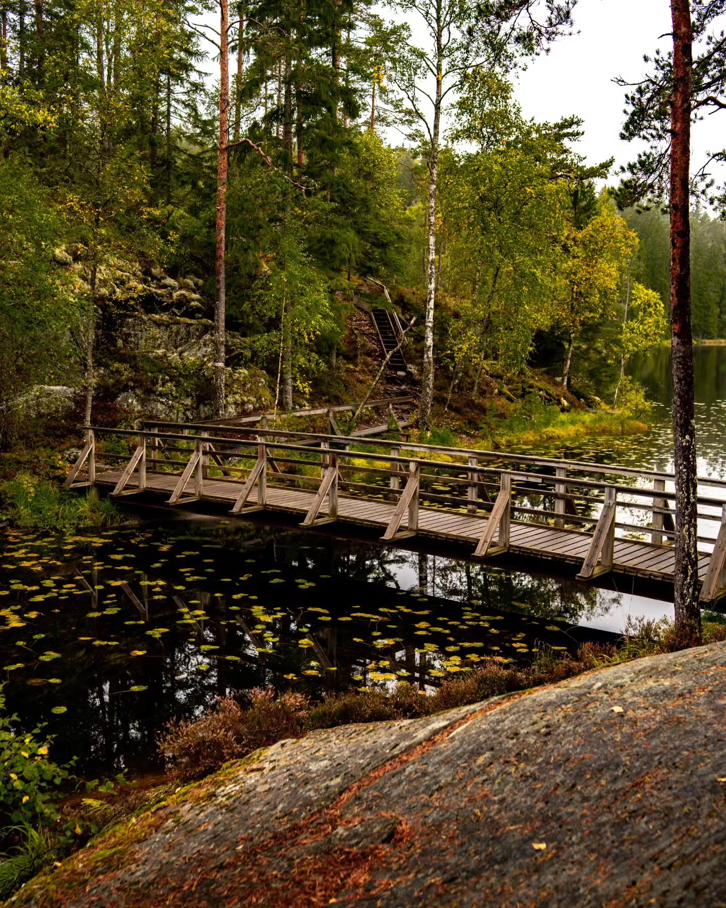 Dalsland's Nature and Attractions