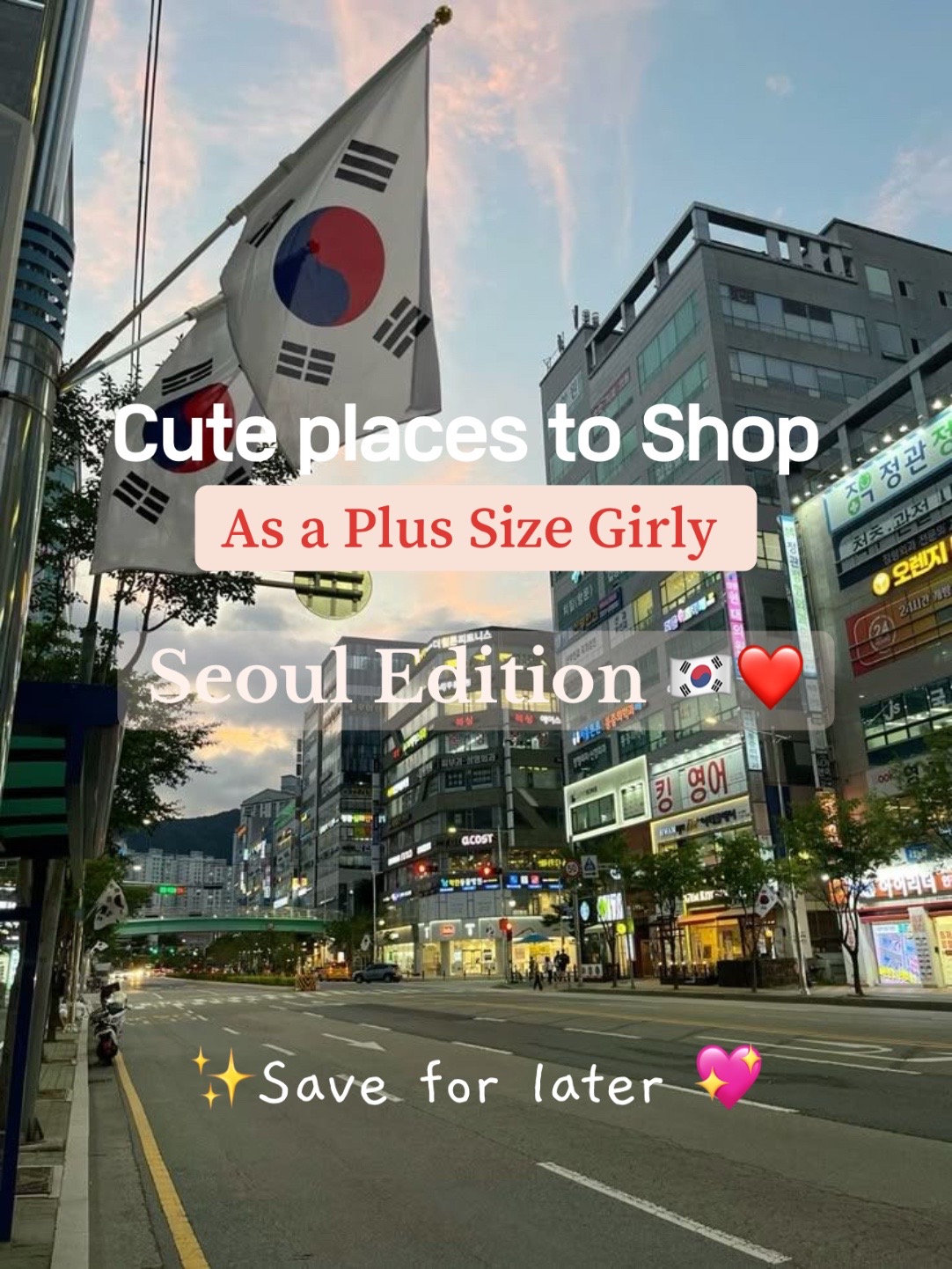 Seoul's Plus-Size Fashion Shopping Destinations